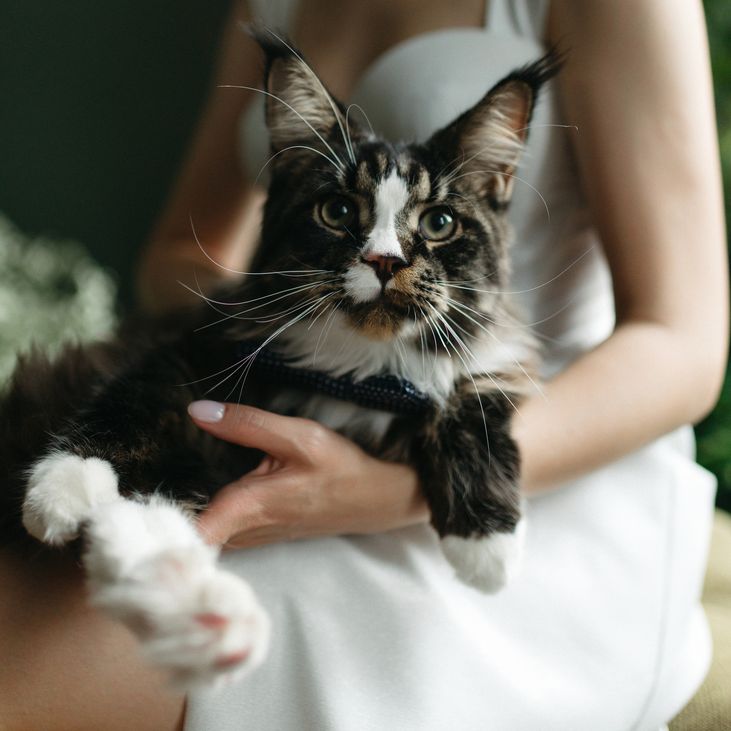 Юра и Кристина 14.07.23