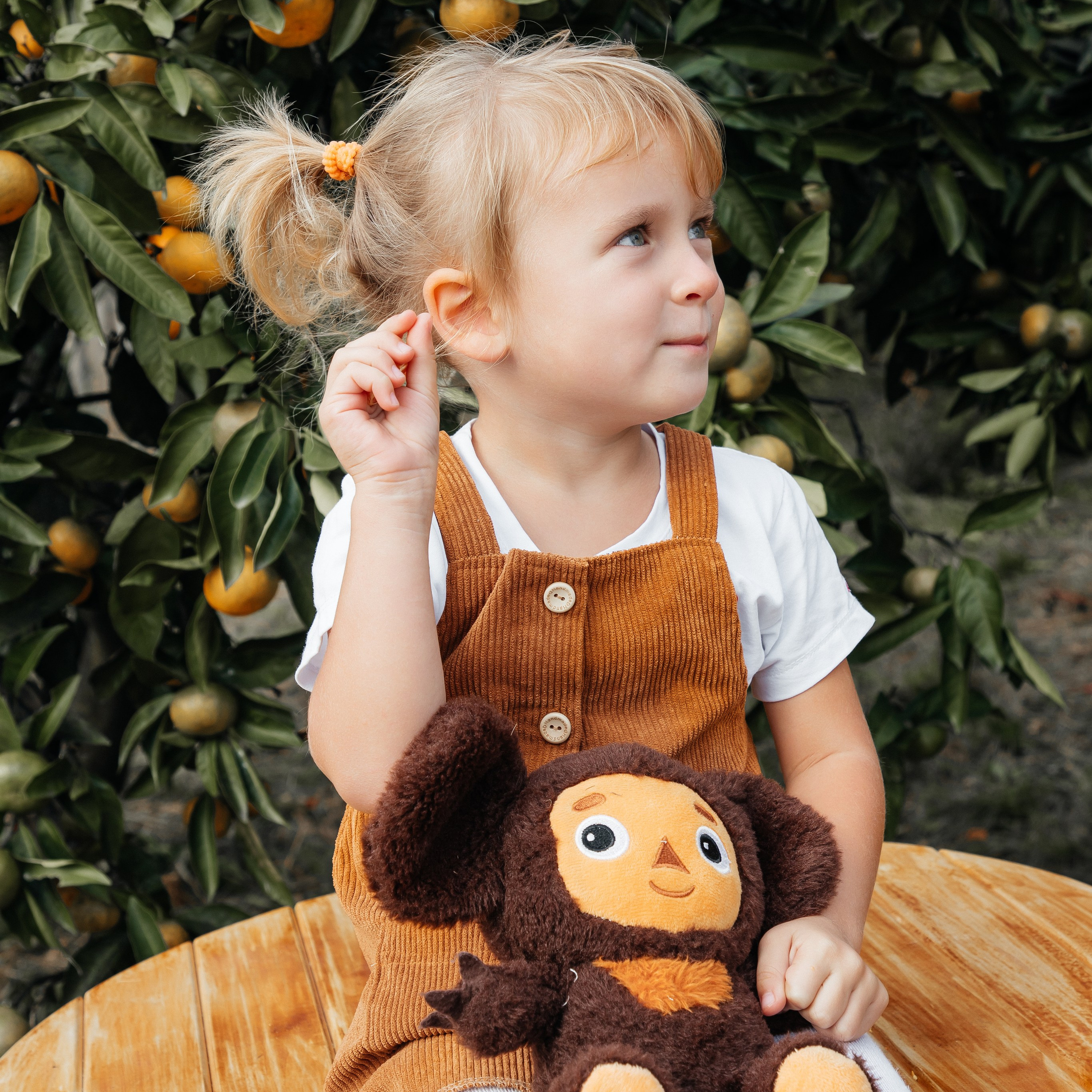 Мандариновое настроение