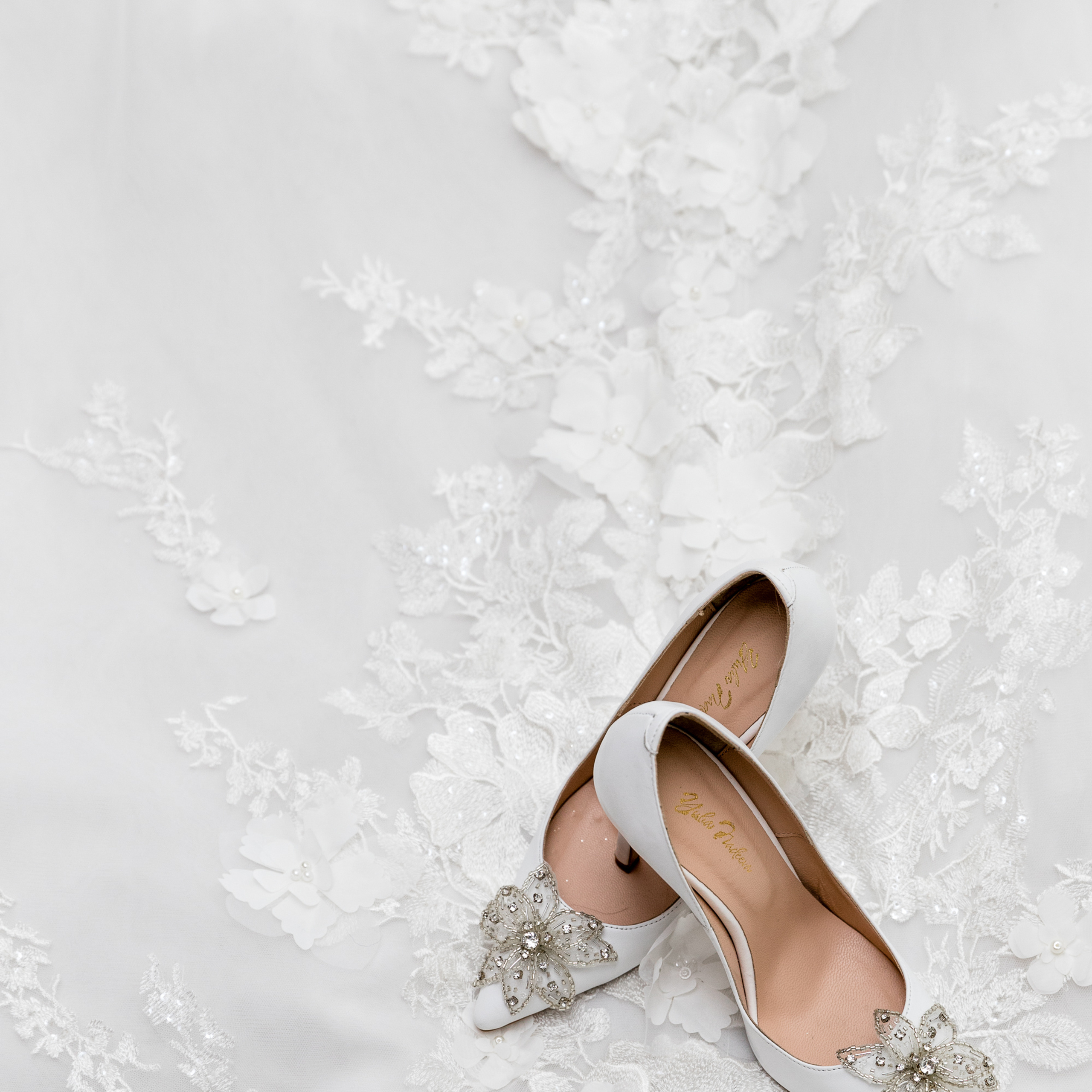 Paradise. Wedding Workshop.