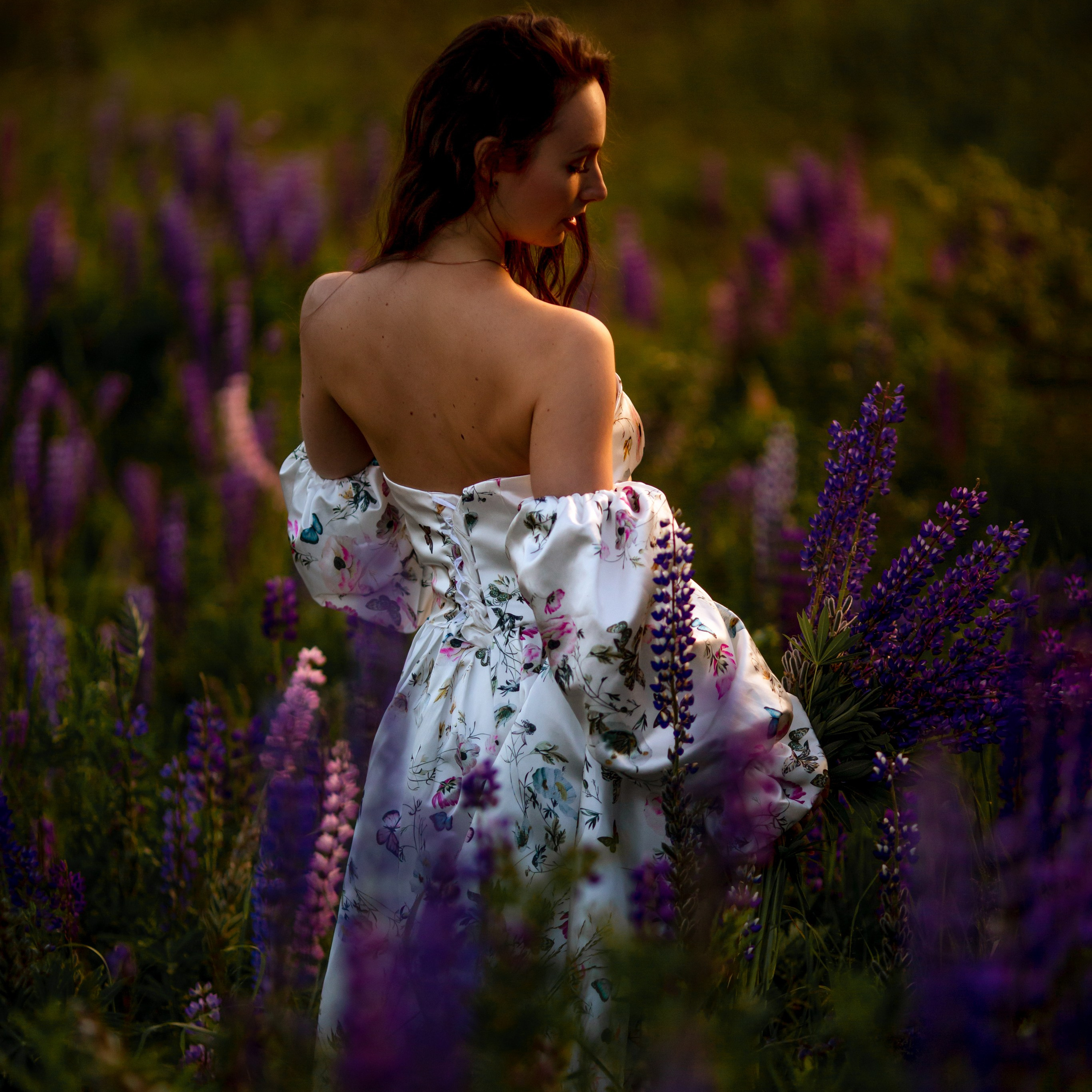 Люпиновая романтика