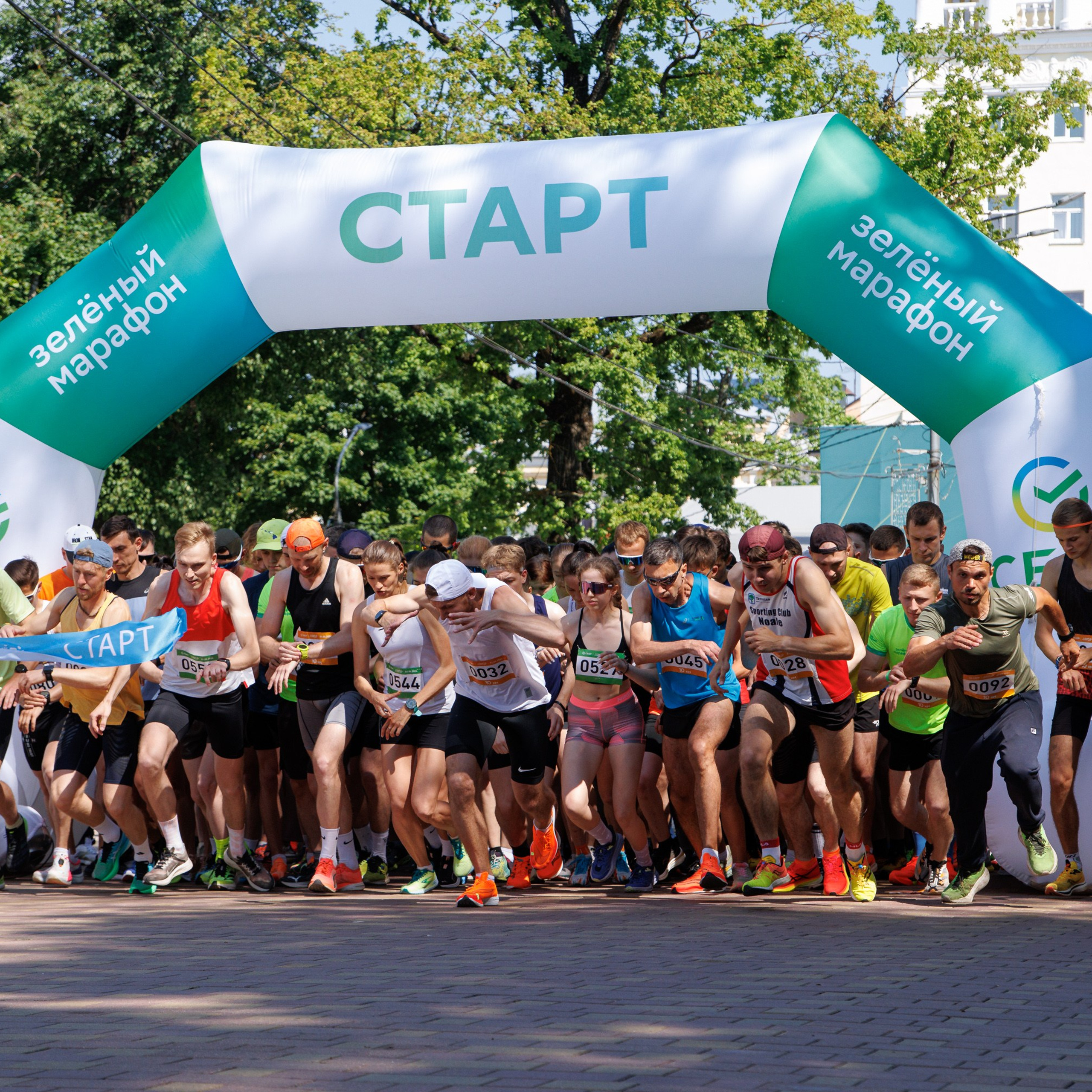 Зеленый марафон 2024