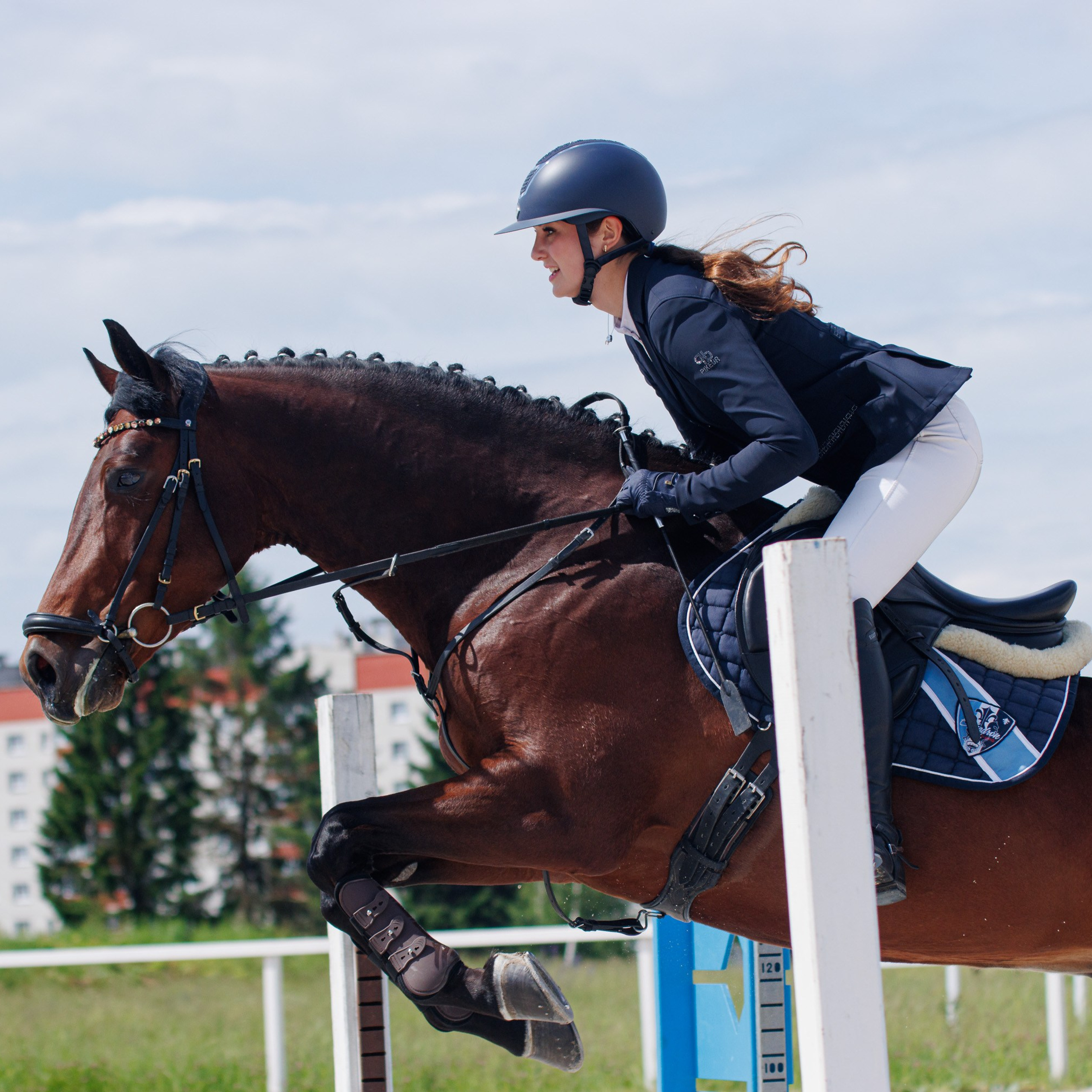 Конный спорт