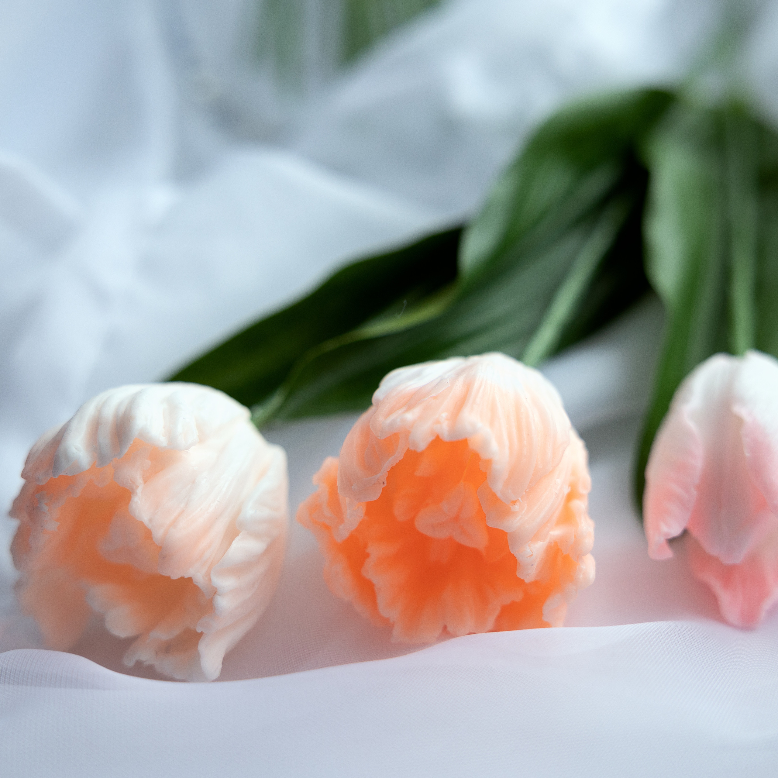 Отзывы. Фотограф Тимофеева Валентина