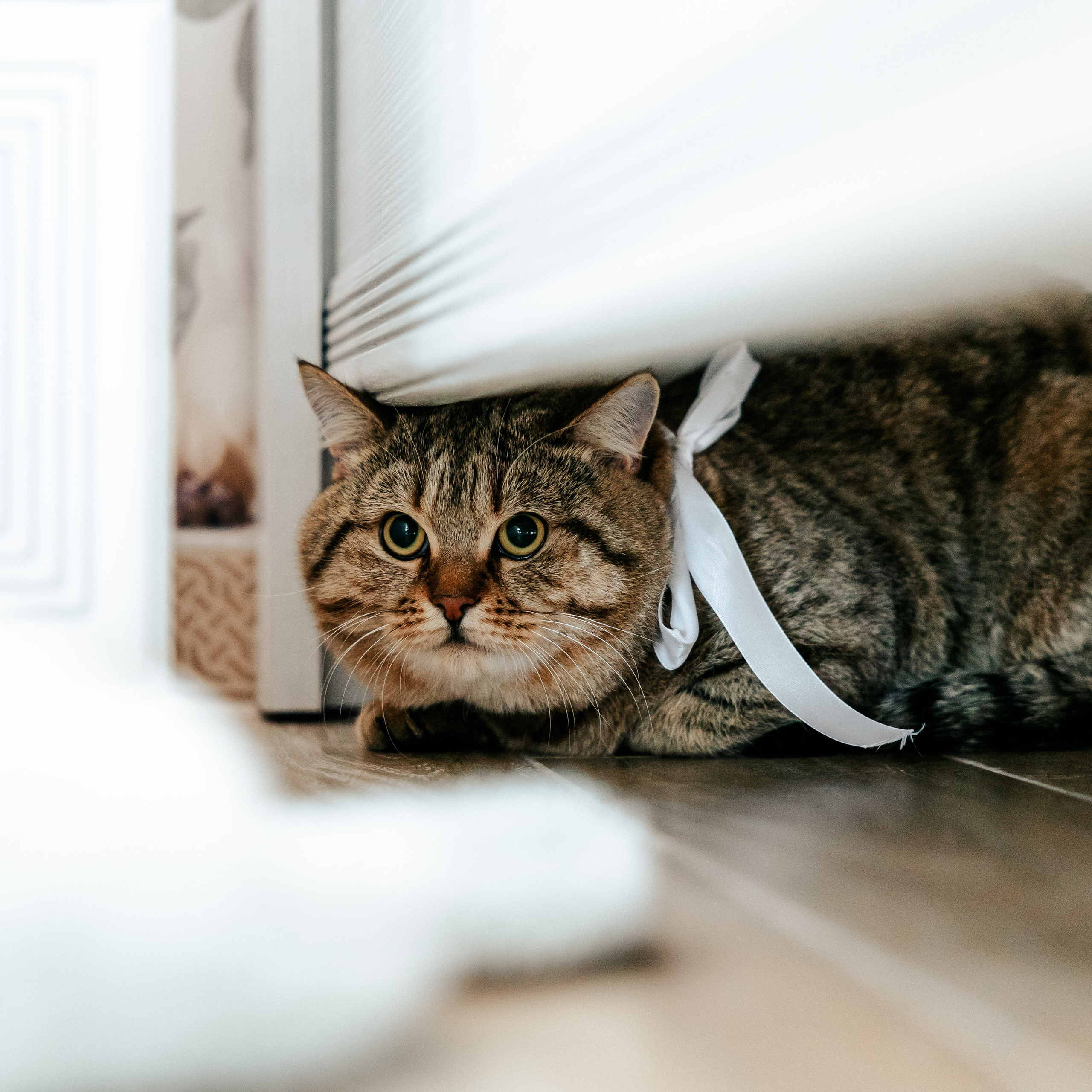 Алексей & Наргиз