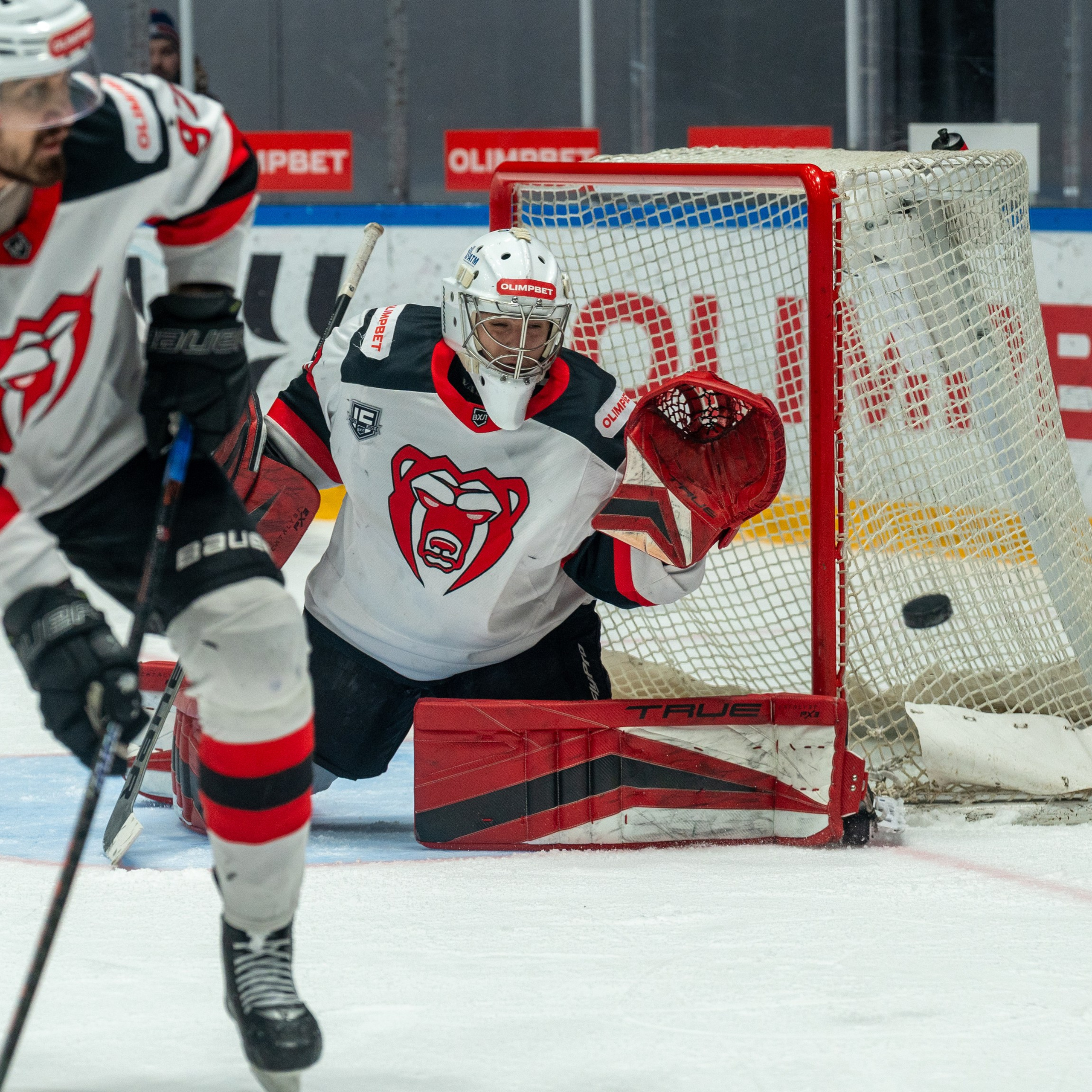 Динамо (Санкт-Петербург) — Молот (Пермь)