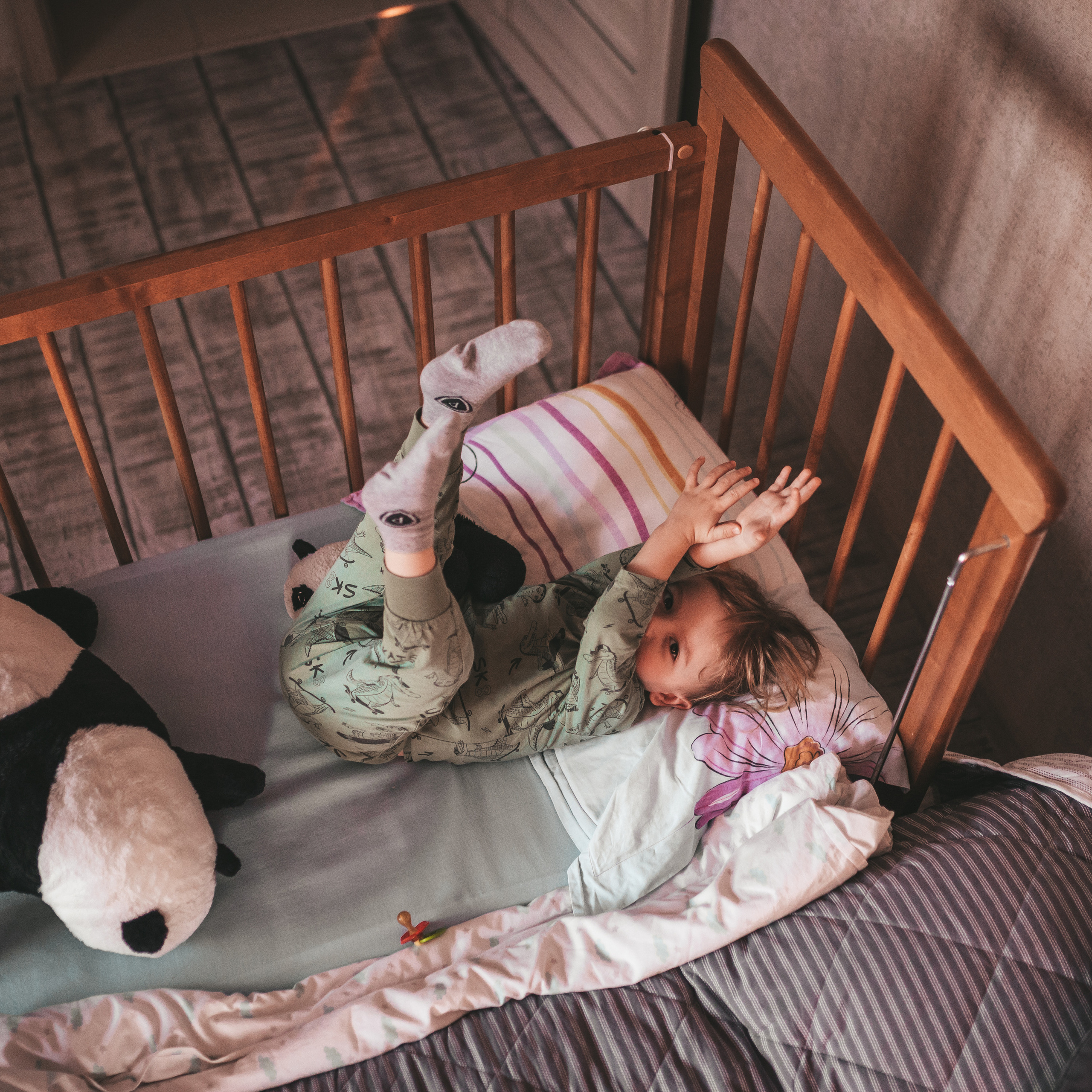 Тимино утро. Домашний Life stule