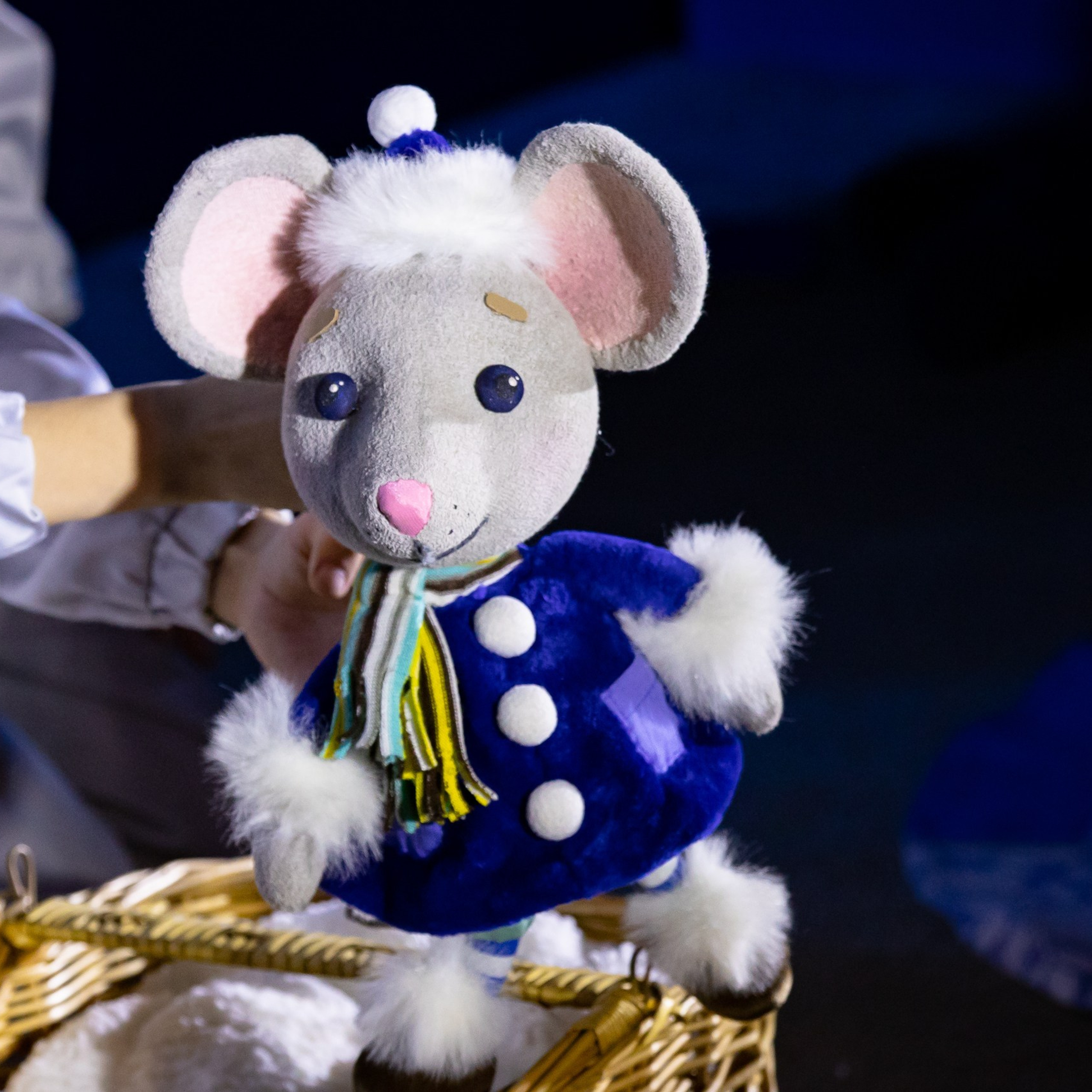 Отзывы наших клиентов. Спортивный фотограф Екатеринбург Онлайн трансляции