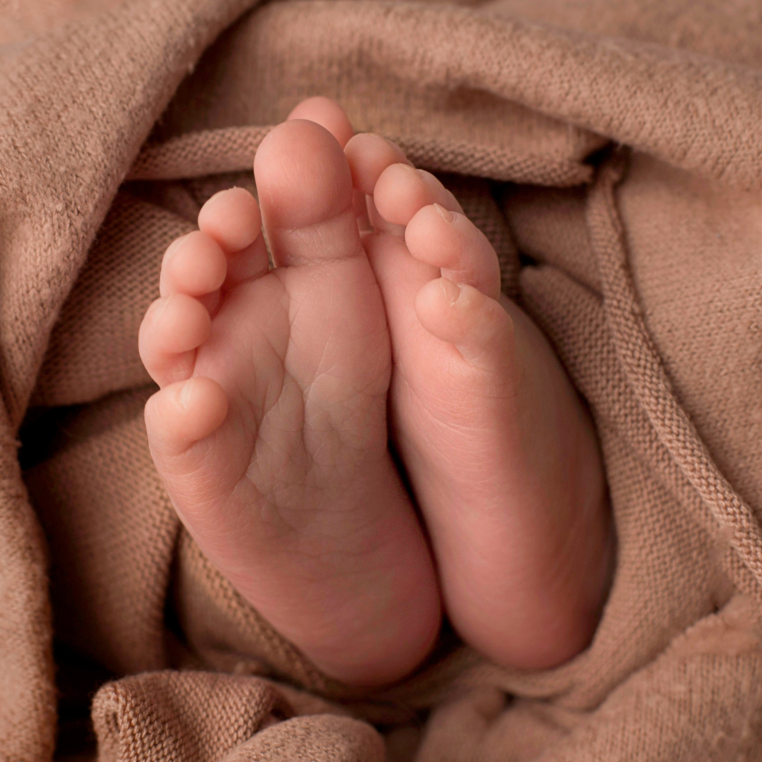 Лев. Фотограф новорожденных Ольга Джарты