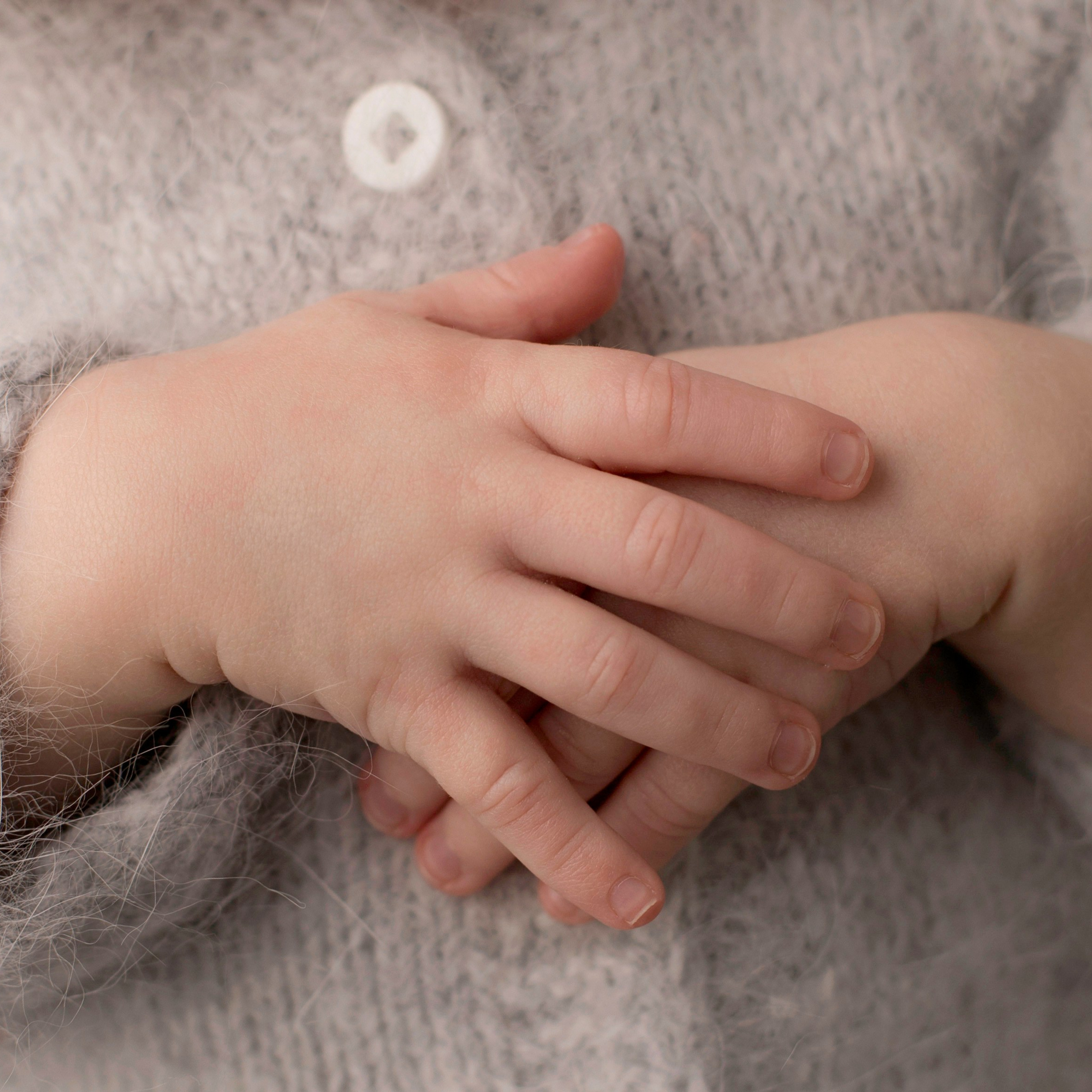 Лев. Фотограф новорожденных Ольга Джарты