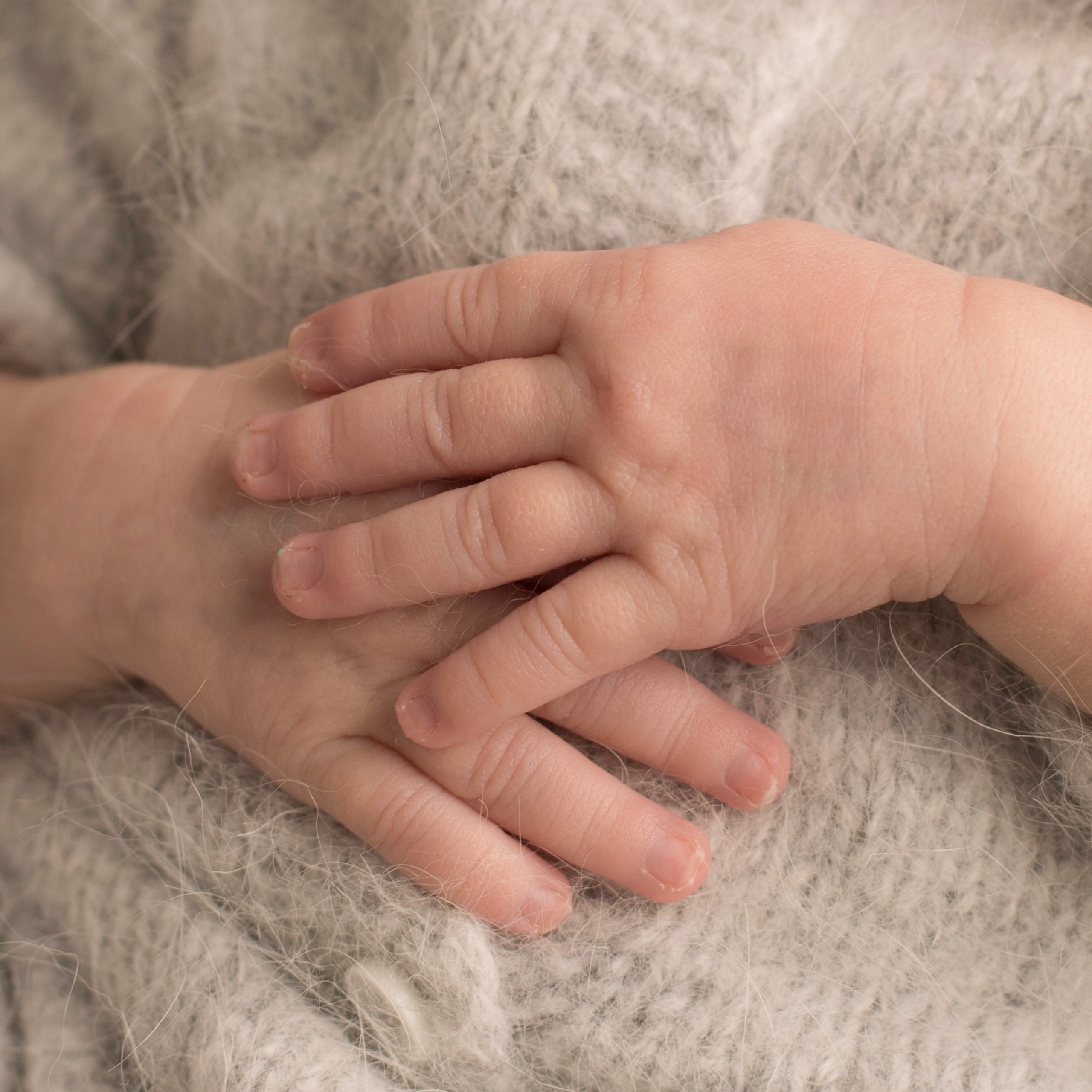 Софи.15 дней. Фотограф новорожденных Ольга Джарты