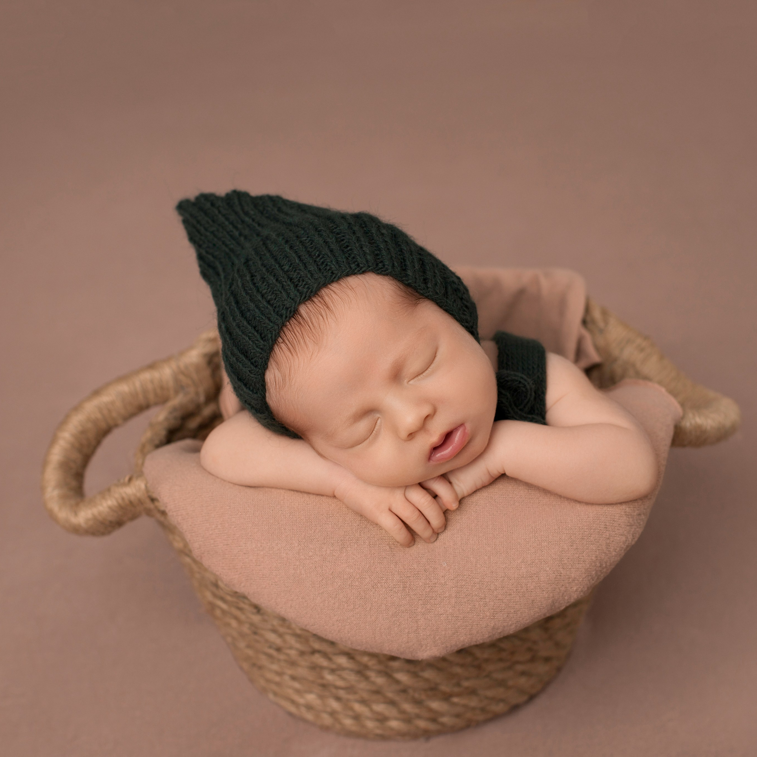 Лев. Фотограф новорожденных Ольга Джарты