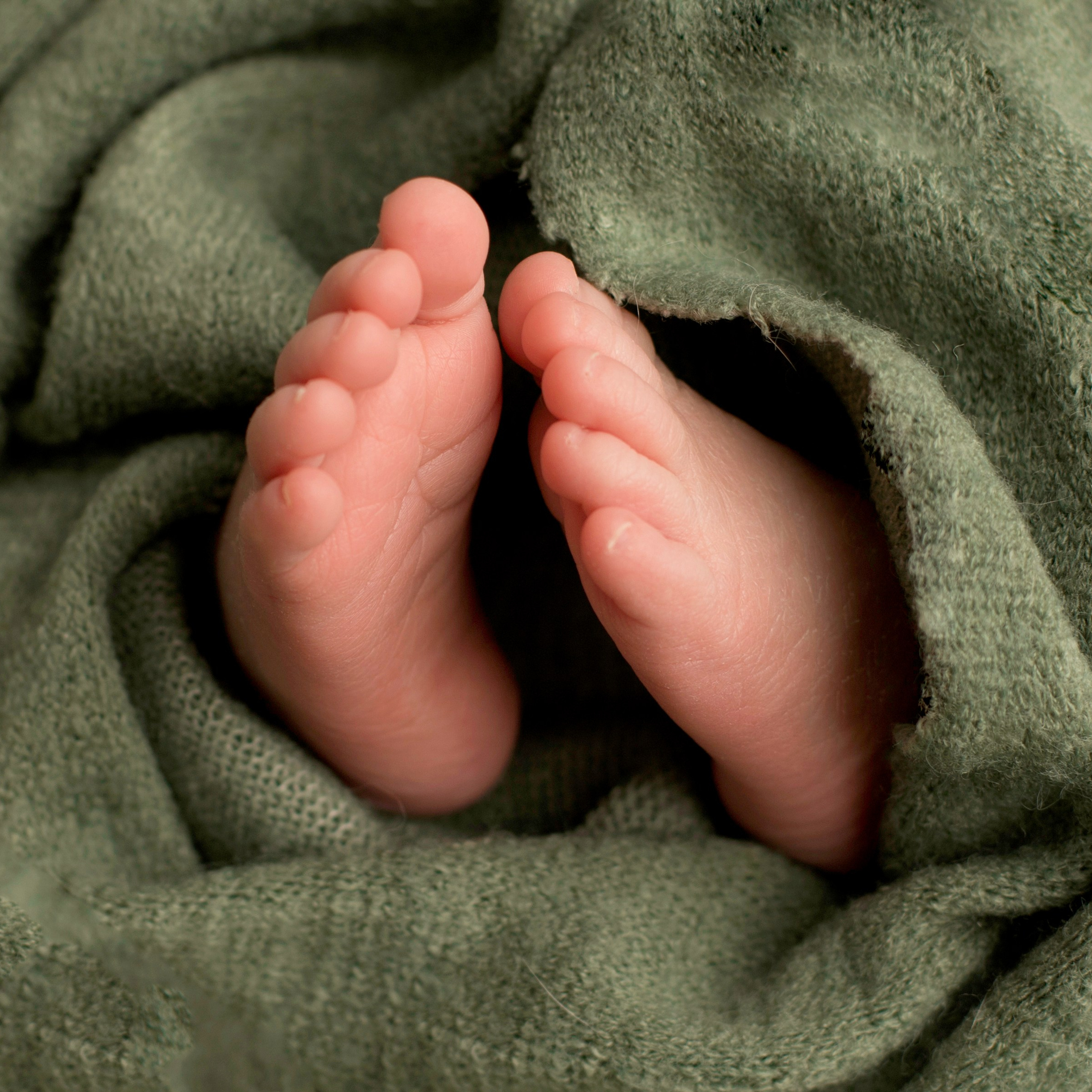 Софи.15 дней. Фотограф новорожденных Ольга Джарты