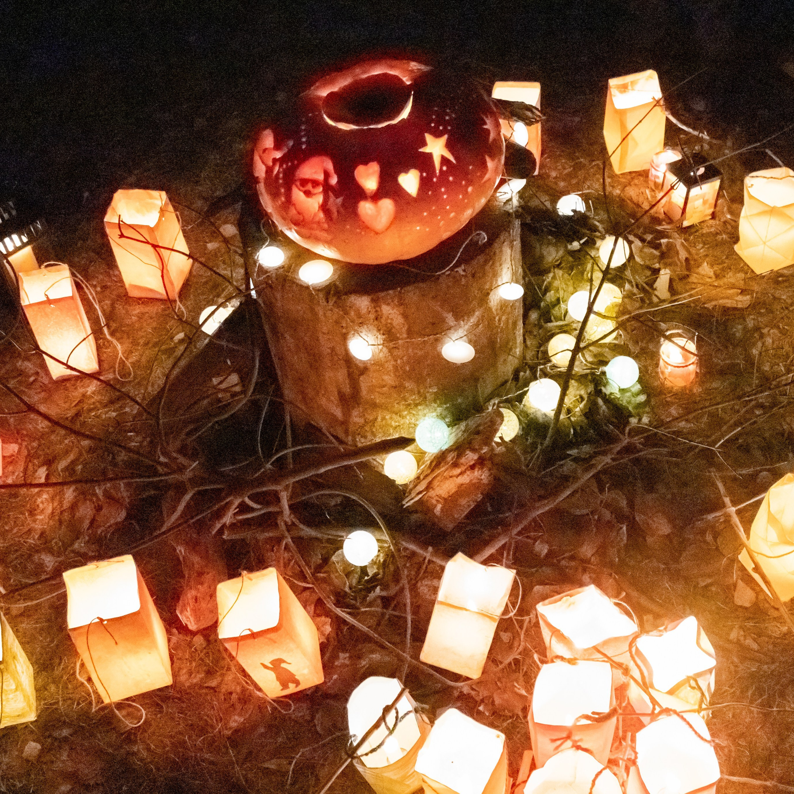 Отзывы. Детский и семейный фотограф в Санкт-Петербурге Перевощикова Наталья