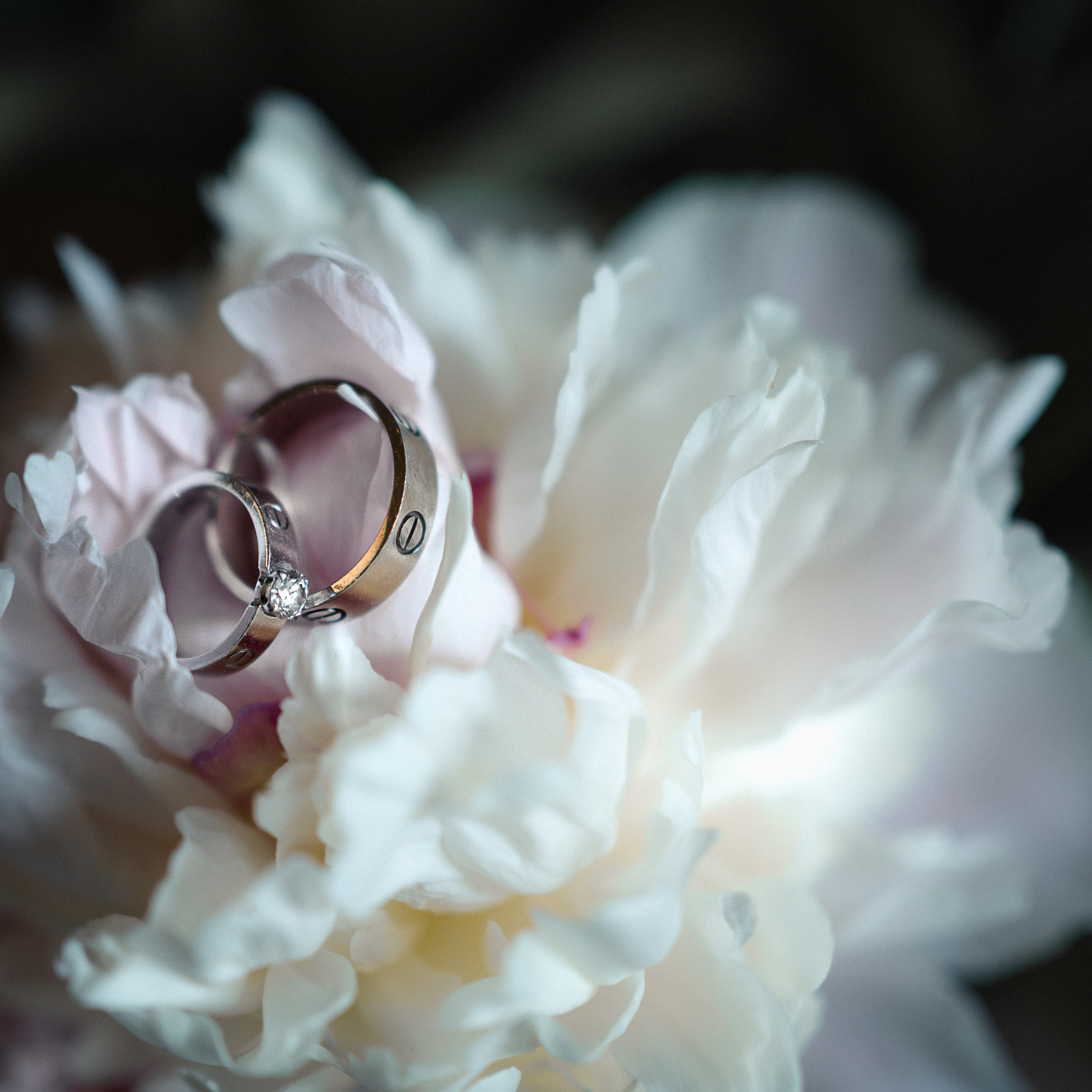 Отзывы. Фотограф на Крещение в Москве Ткач Елена