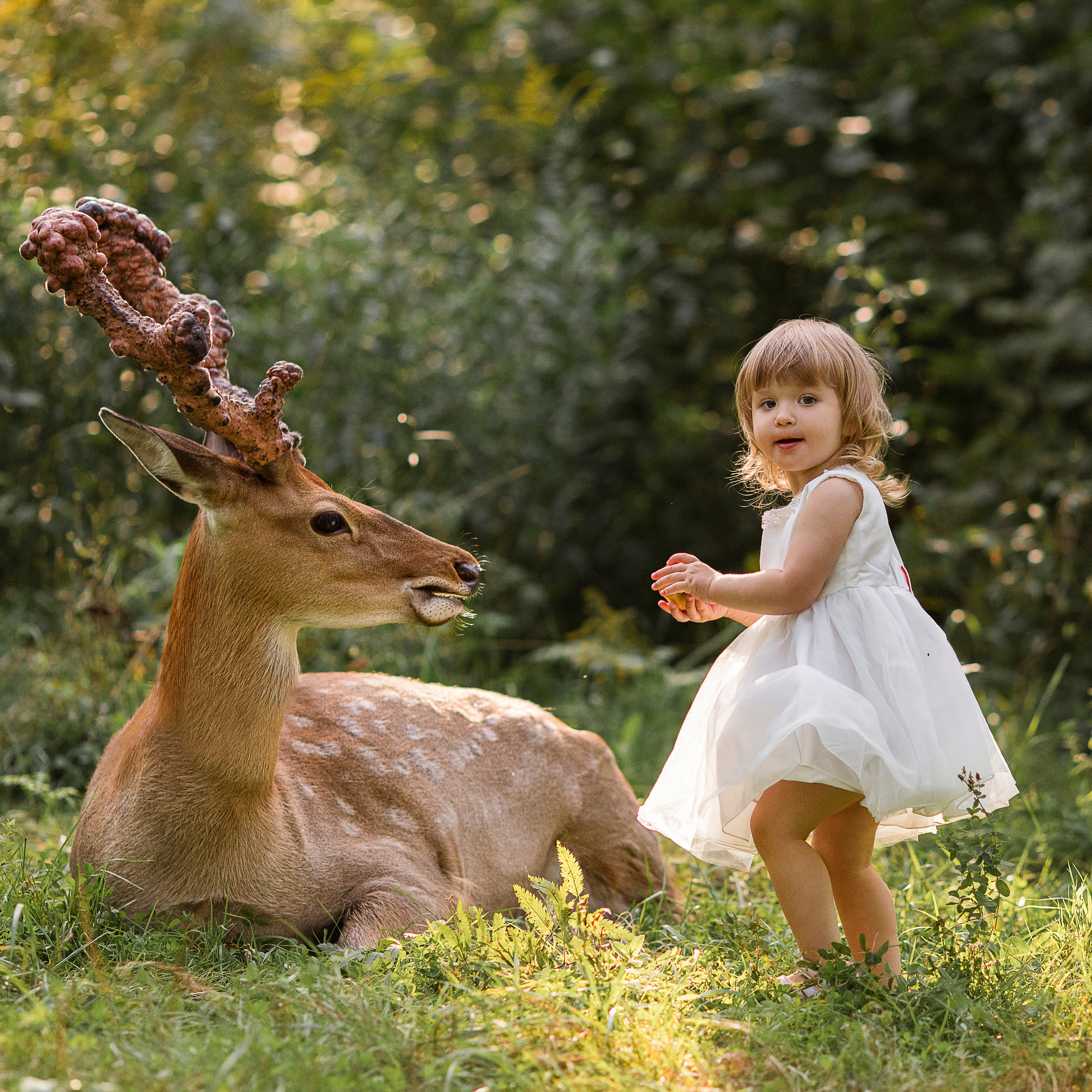 Отзывы о фотографе Олесе Маркиной. Семейный и детский фотограф в Москве Олеся Маркина
