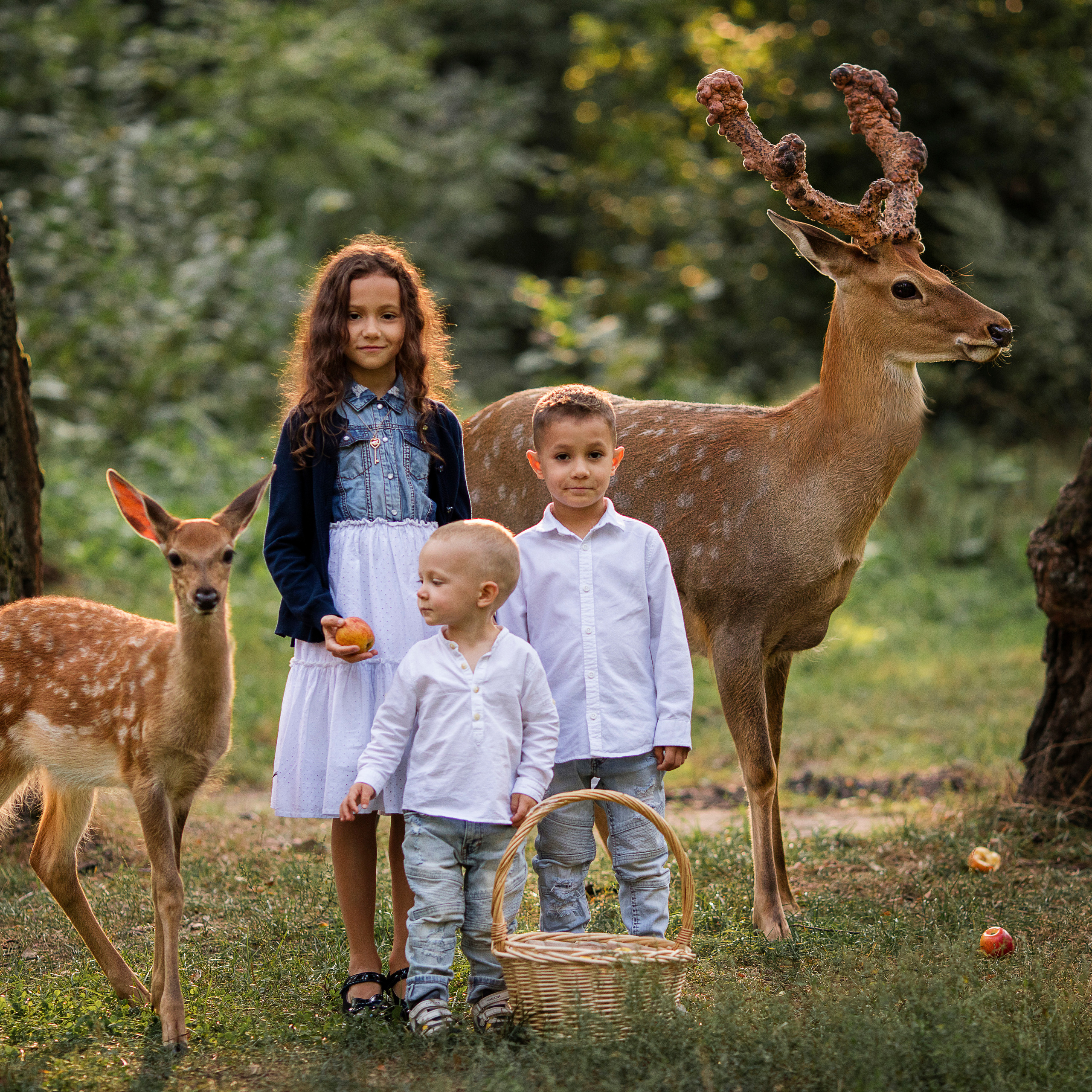 Отзывы о фотографе Олесе Маркиной. Семейный и детский фотограф в Москве Олеся Маркина