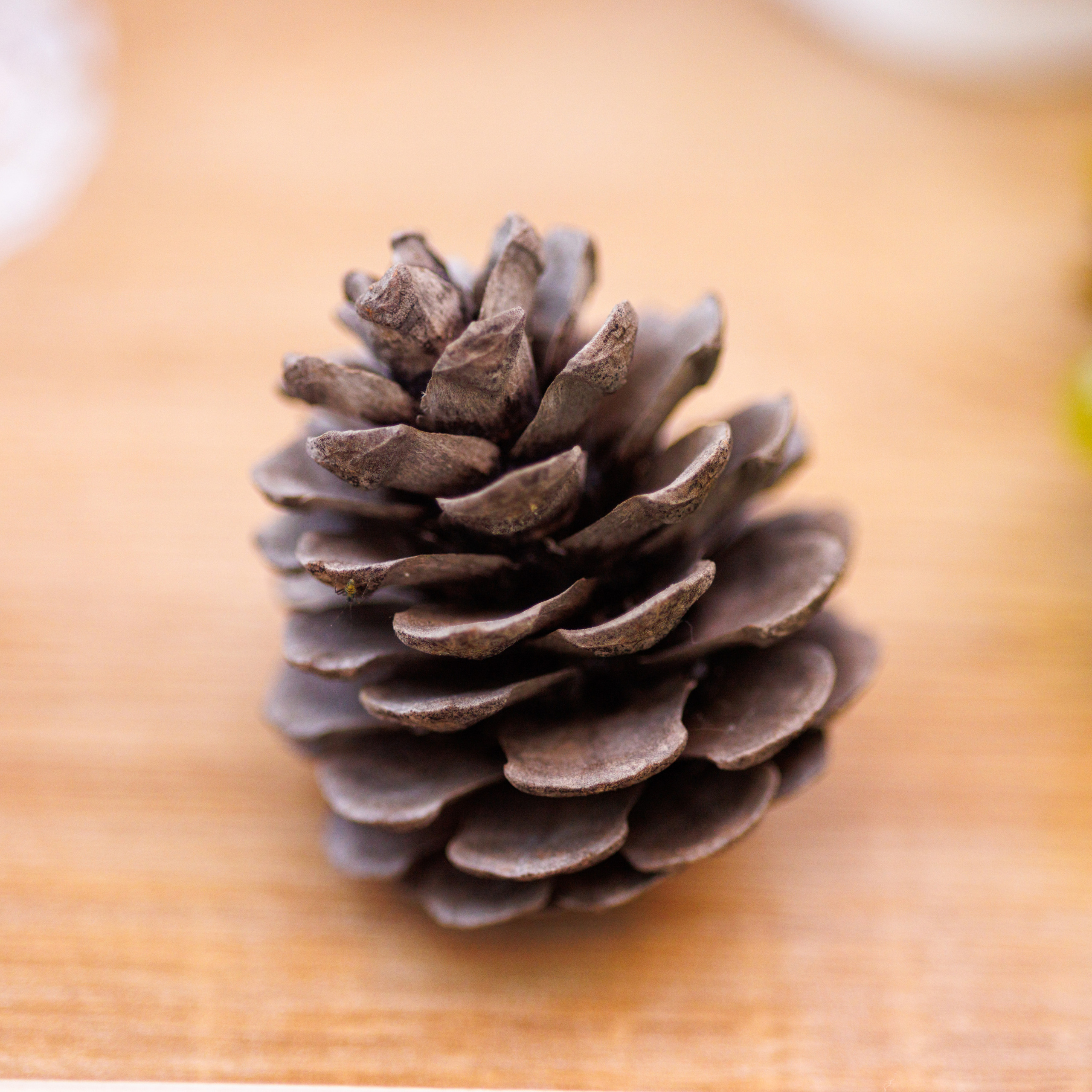 Отзывы. Портретный и репортажный фотограф в Казани Андрей Богданов