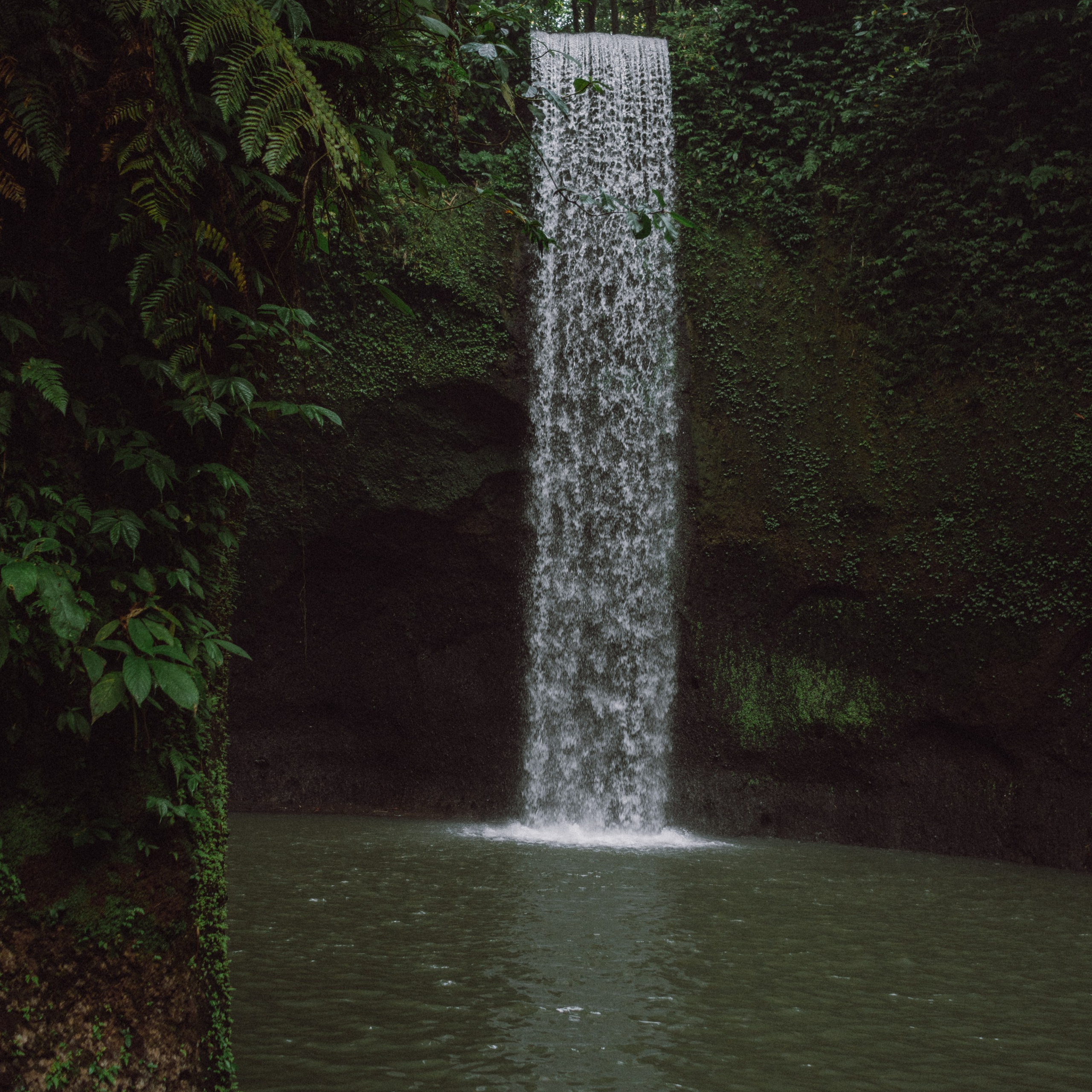 Отзывы. Фотограф Бали