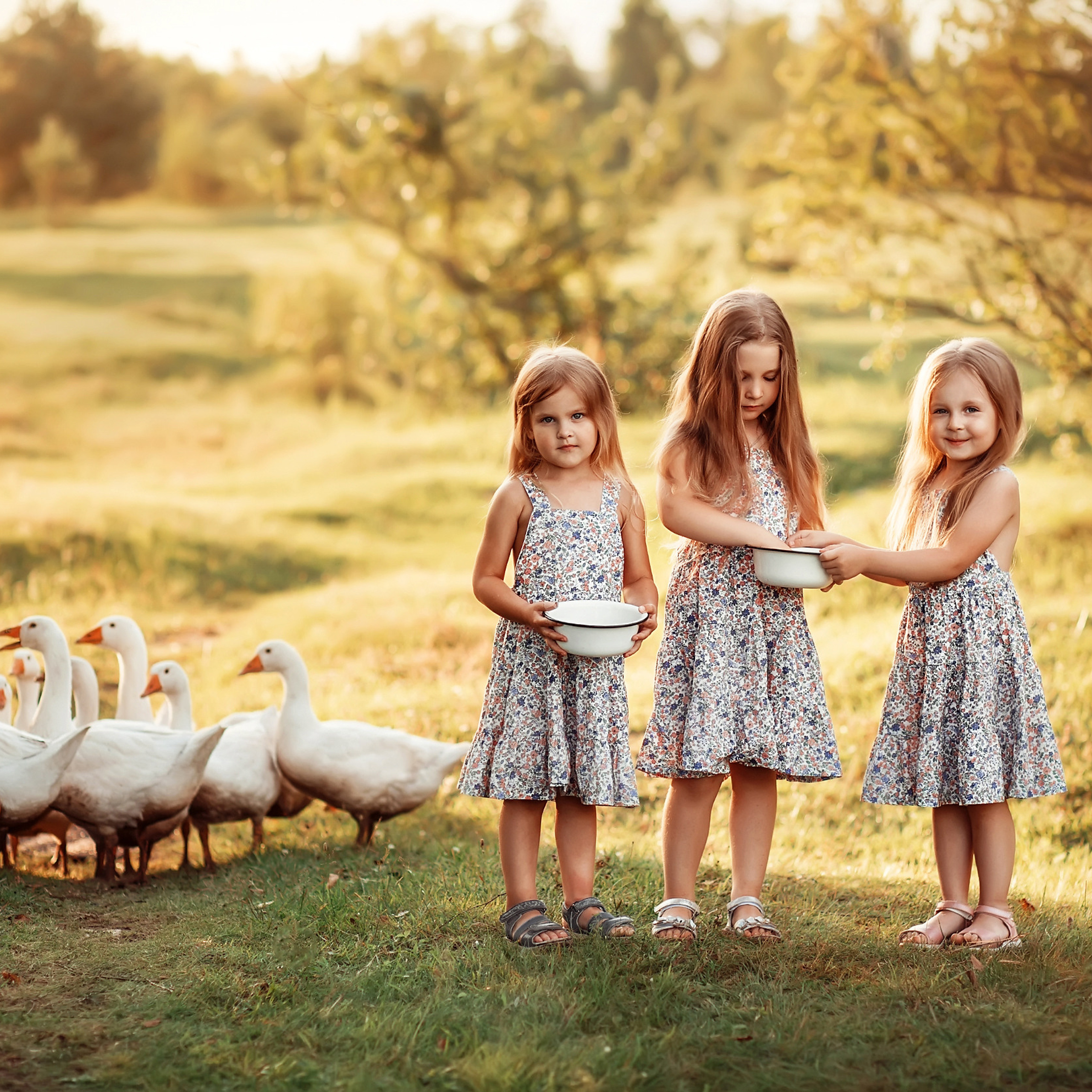 Дети и Гуси