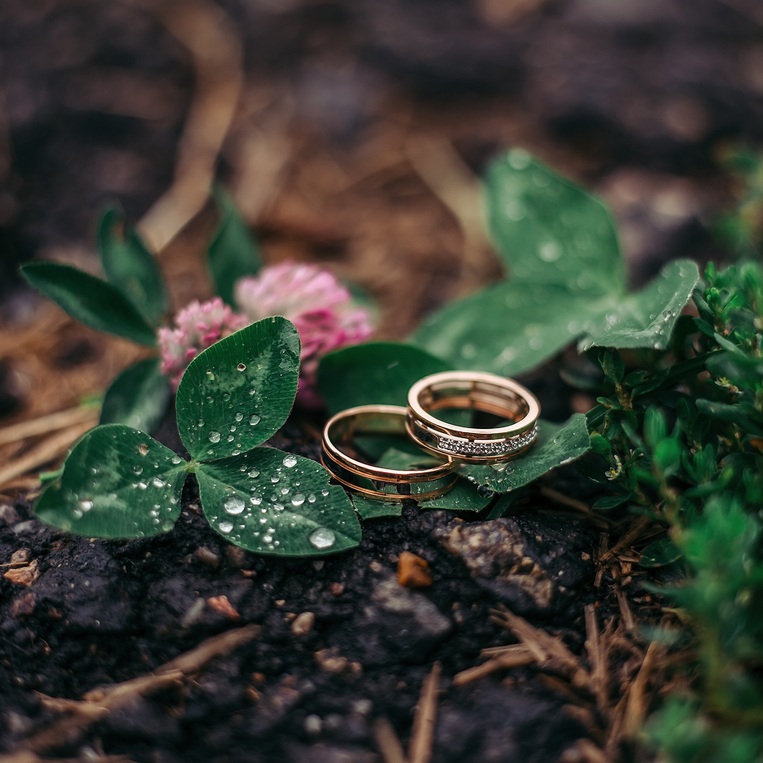 Павел и Наталья