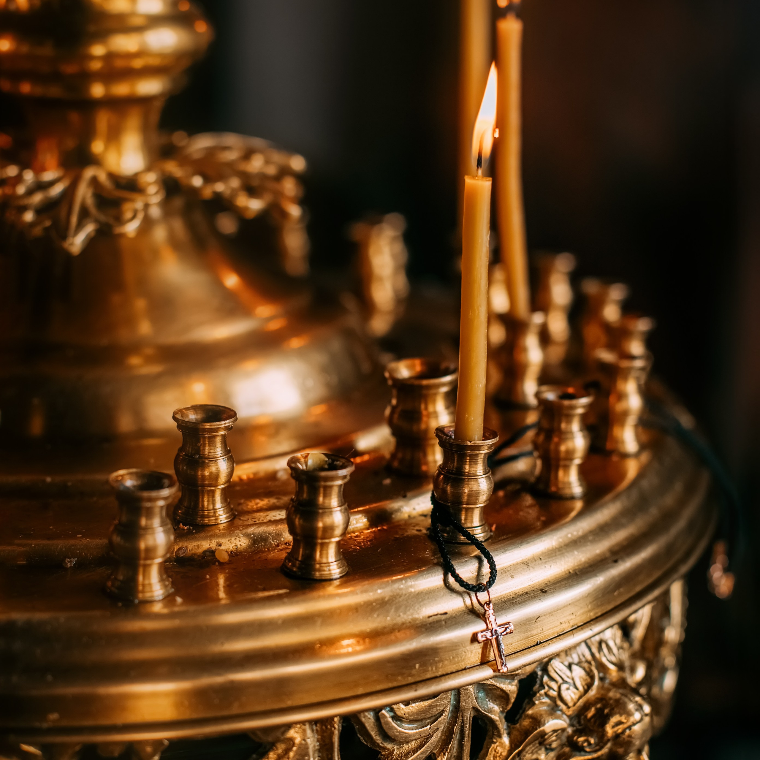 Отзывы. Фотохудожник в Брянске Додонова Ольга