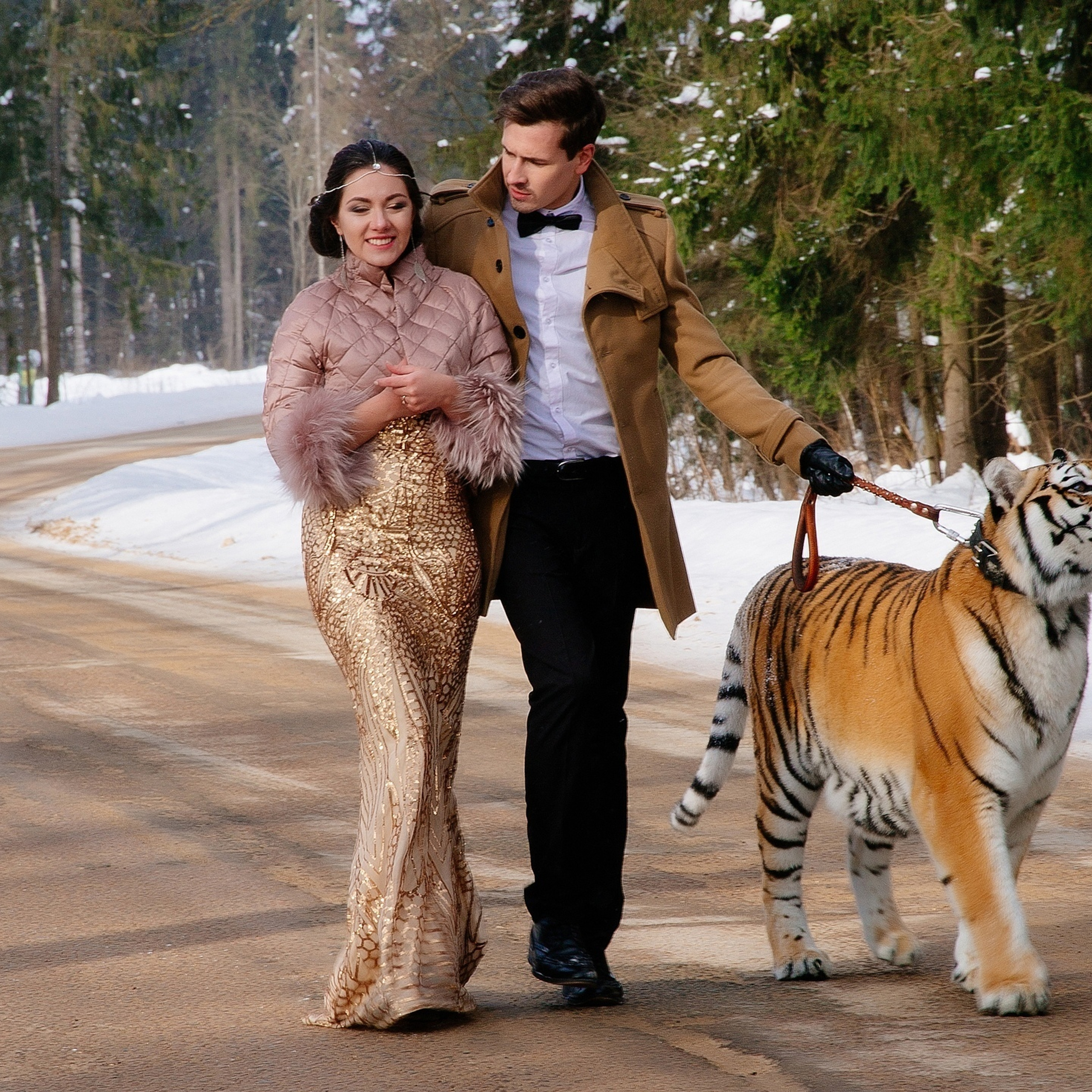 A Tiger’s Wedding 25.02.2018