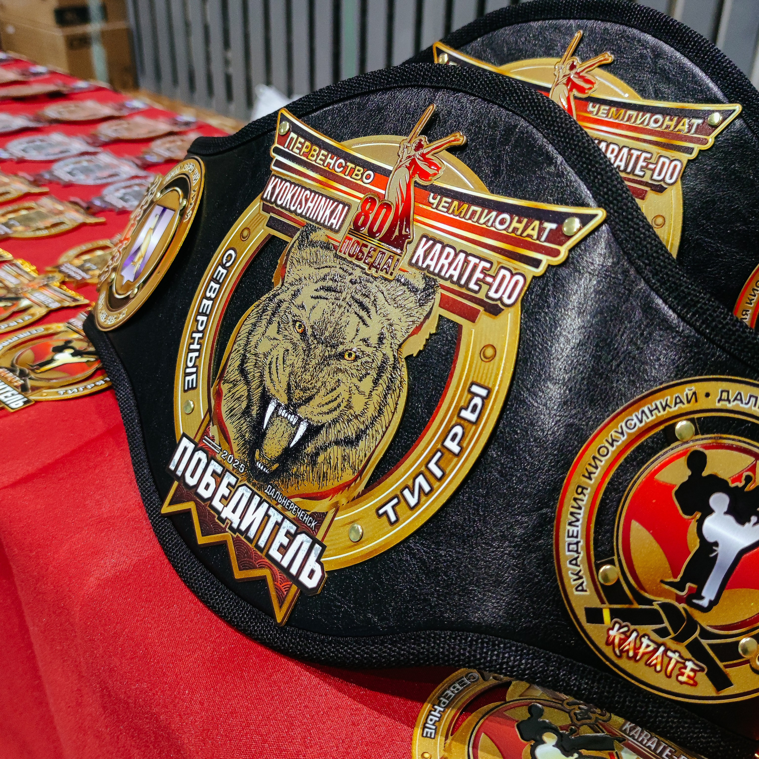 Северные ТИГРЫ 🐯