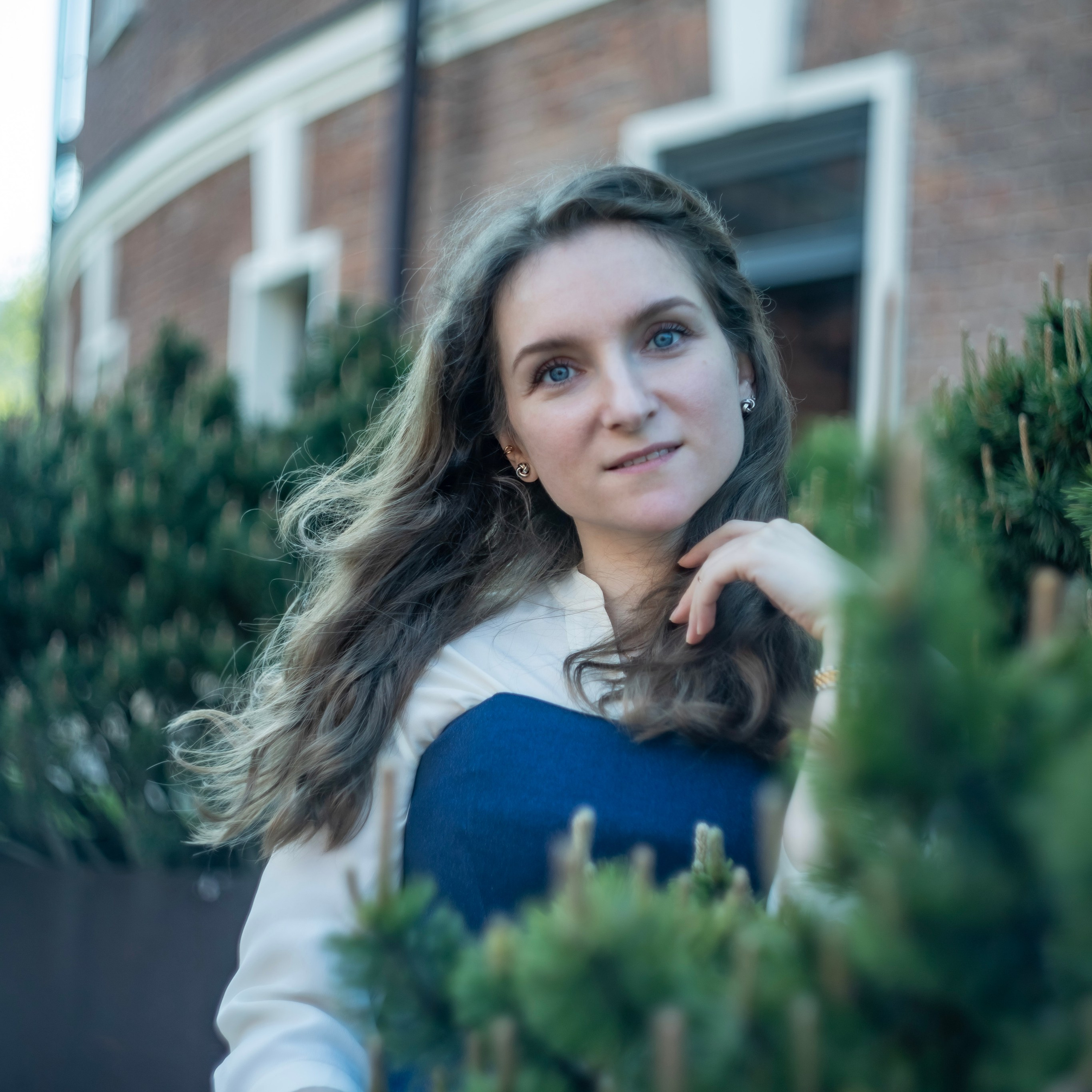 Новая Голландия (2025)