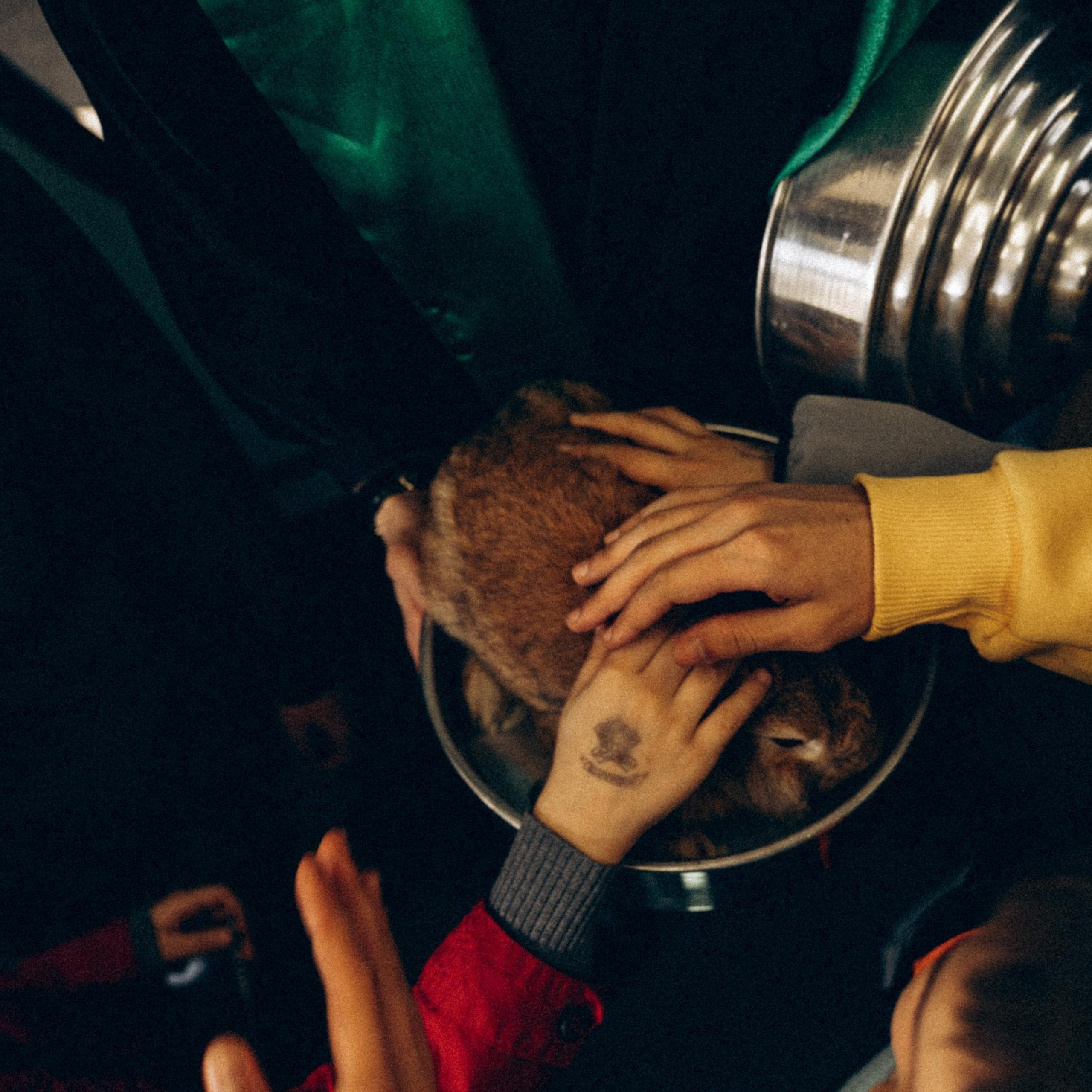 Отзывы. Свадебный фотограф в Саратове Антон Слепов