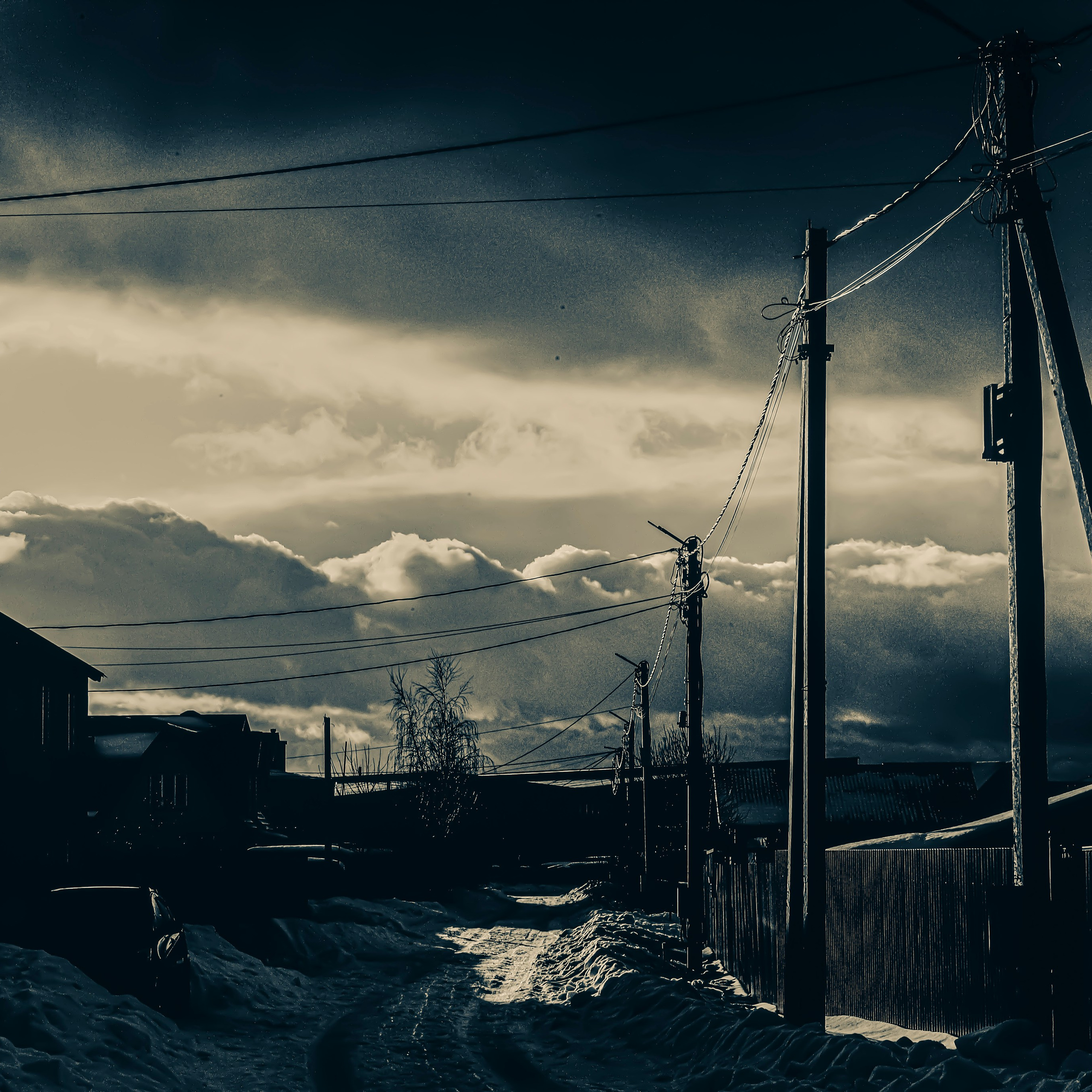 Прогулка ч/б