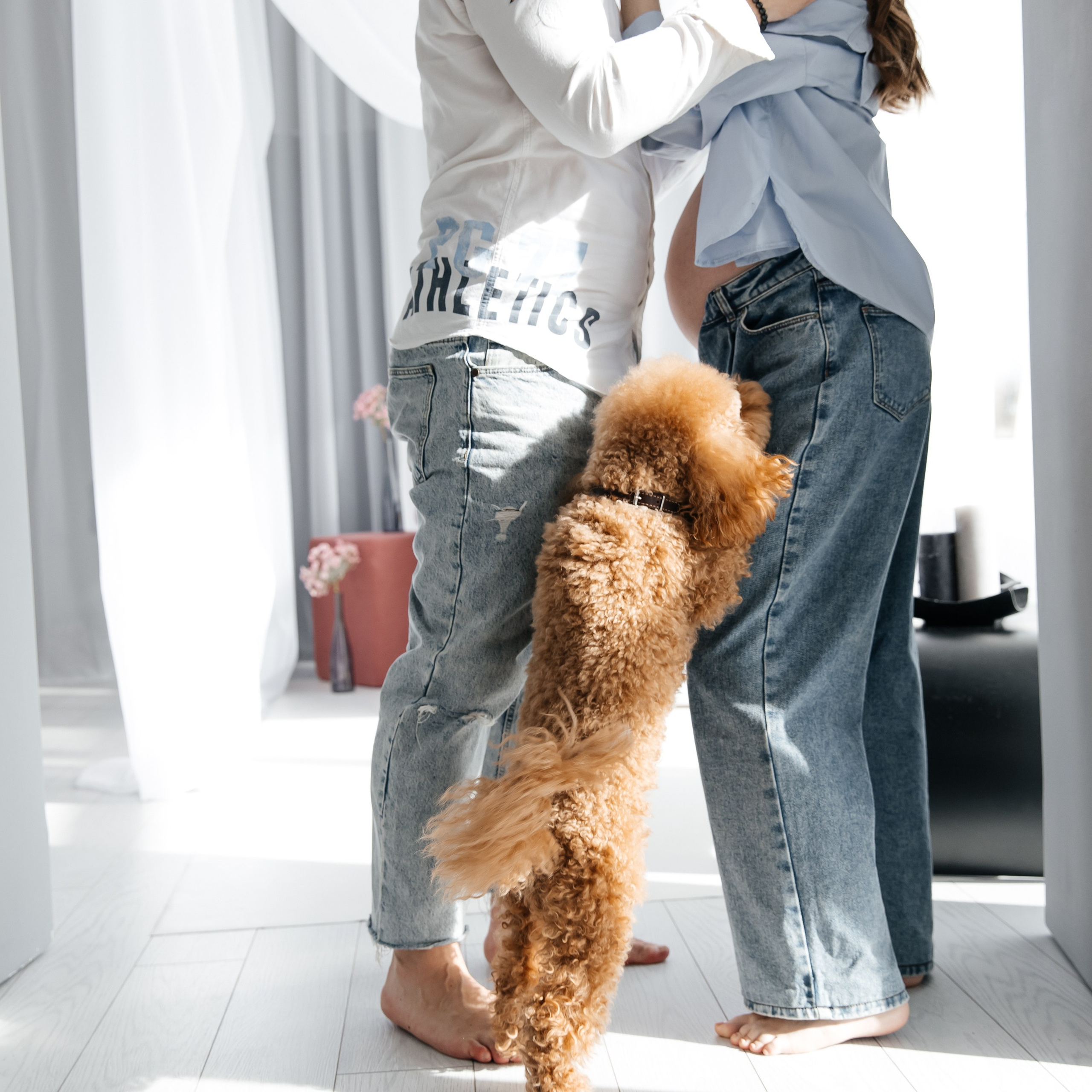 Отзывы. ФОТОГРАФ