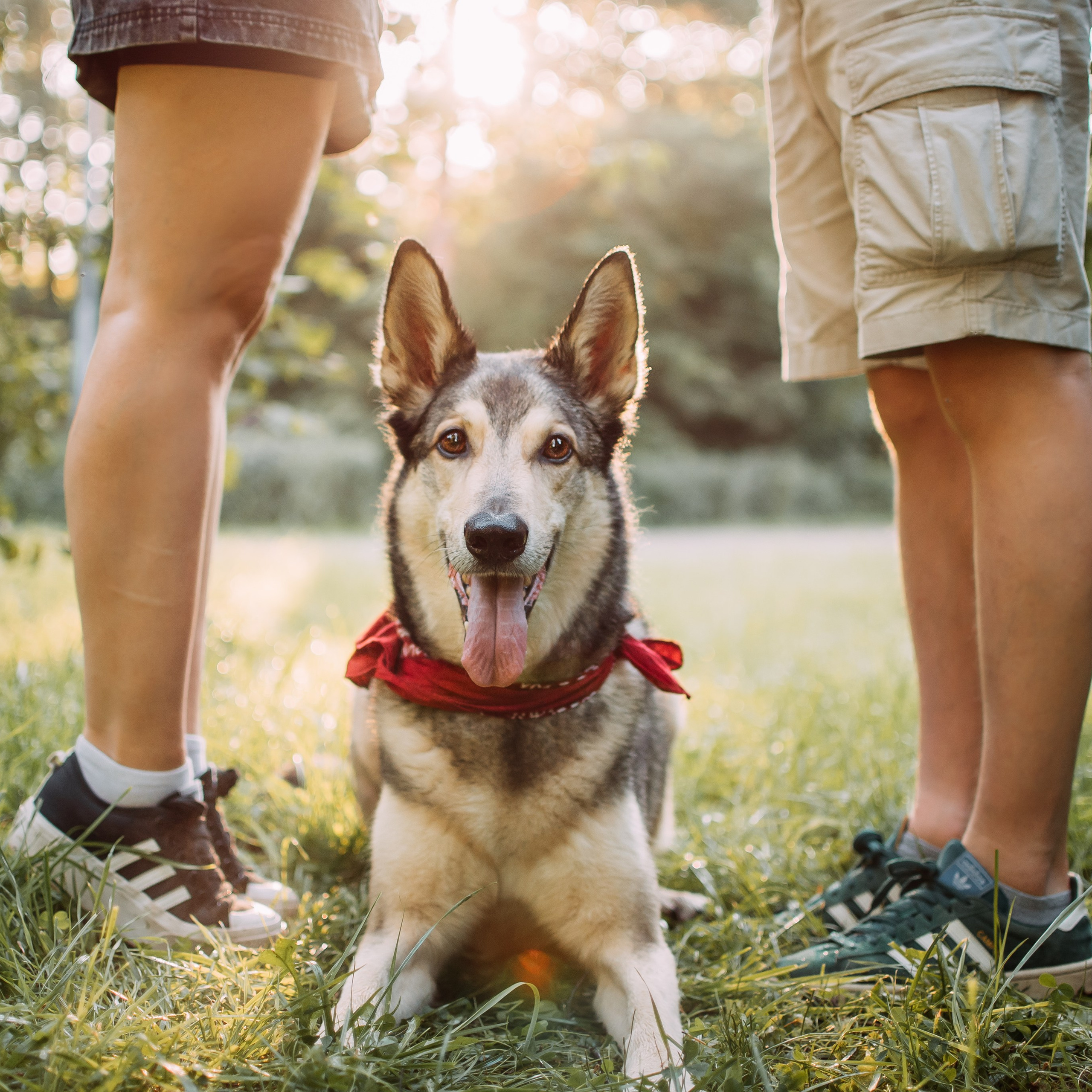 Грэй и его семья