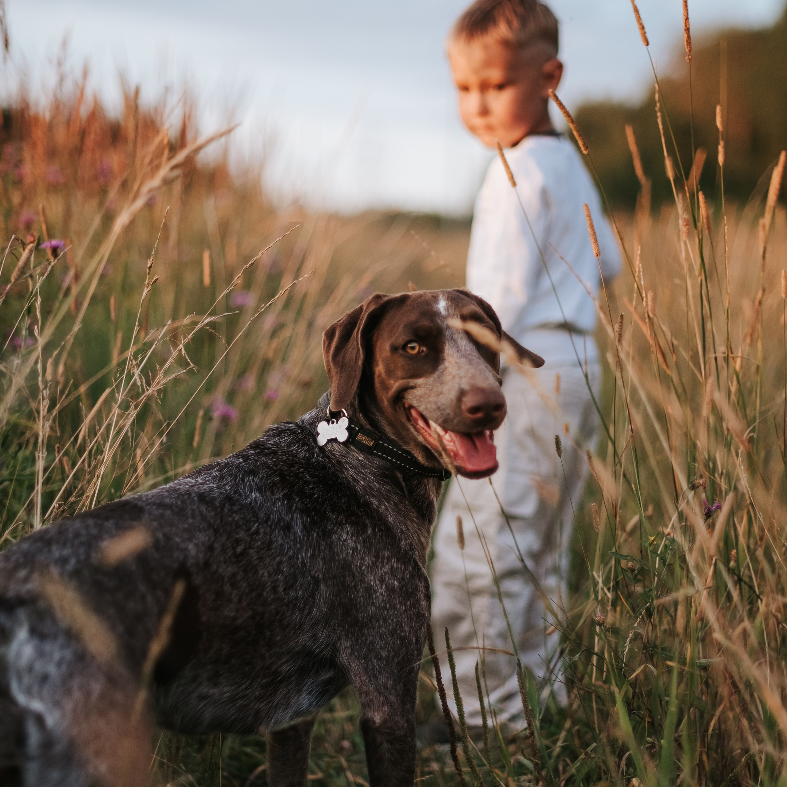 Витя и Кофи