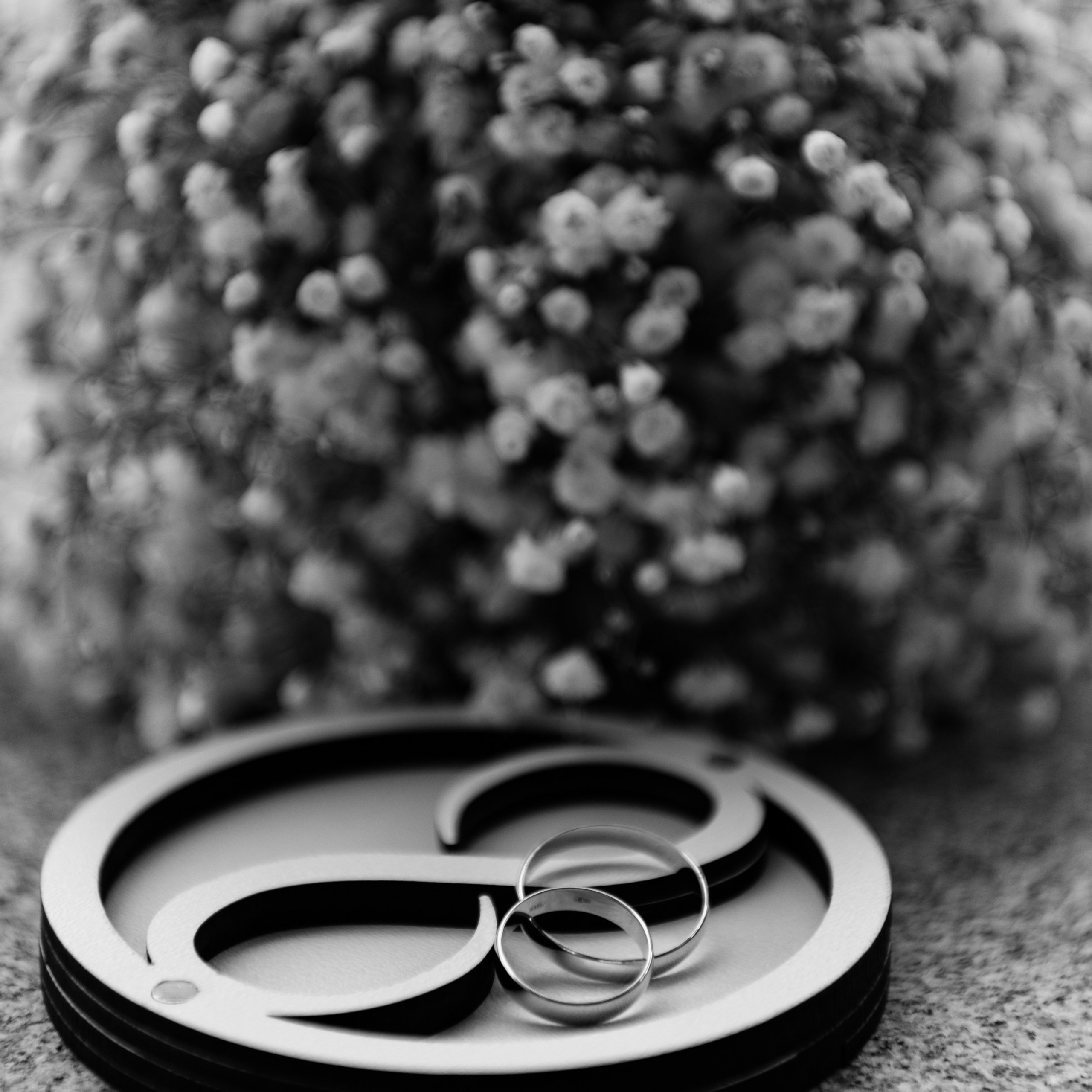 Елена и Михаил