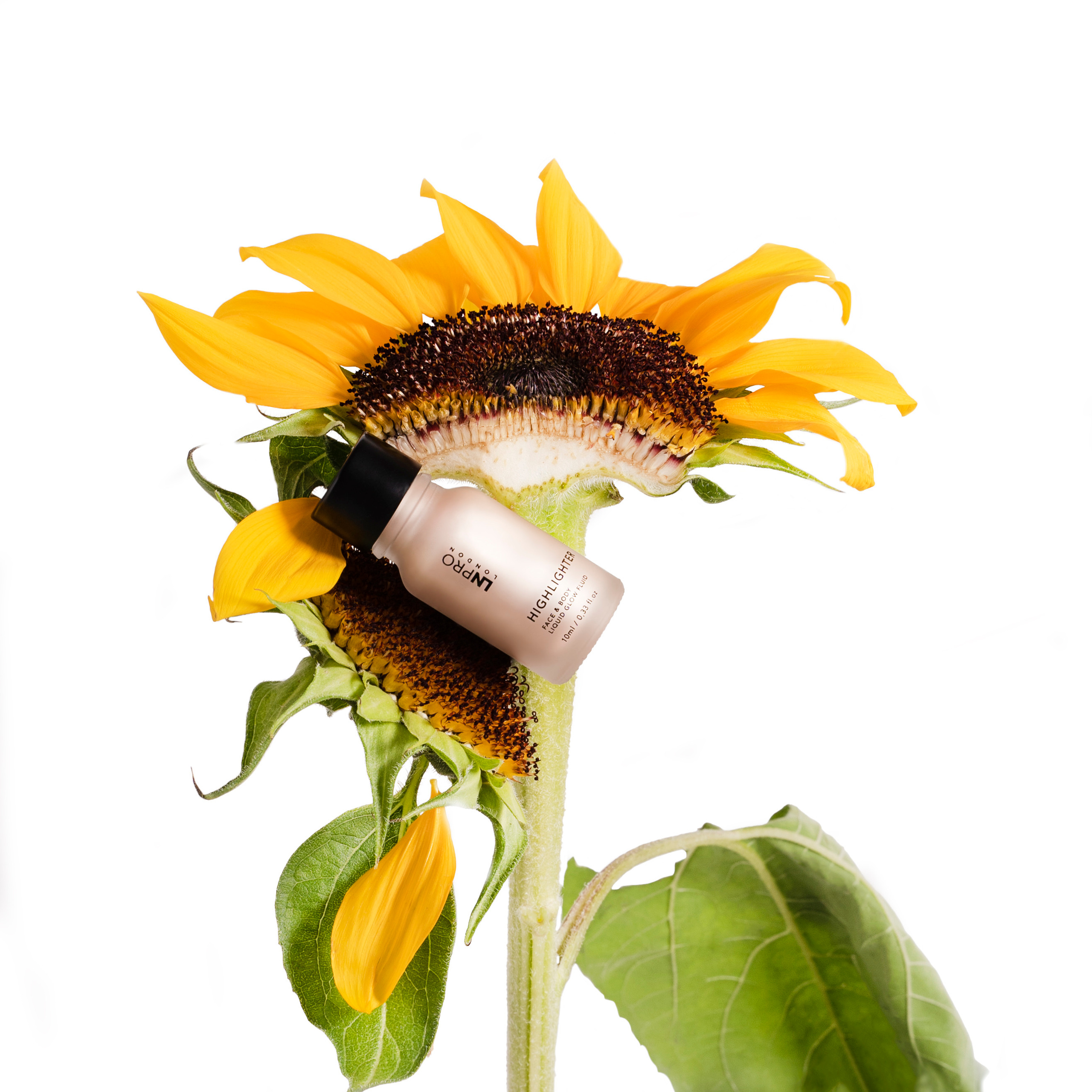 Хайлайтер для лица. Имидж кадры.