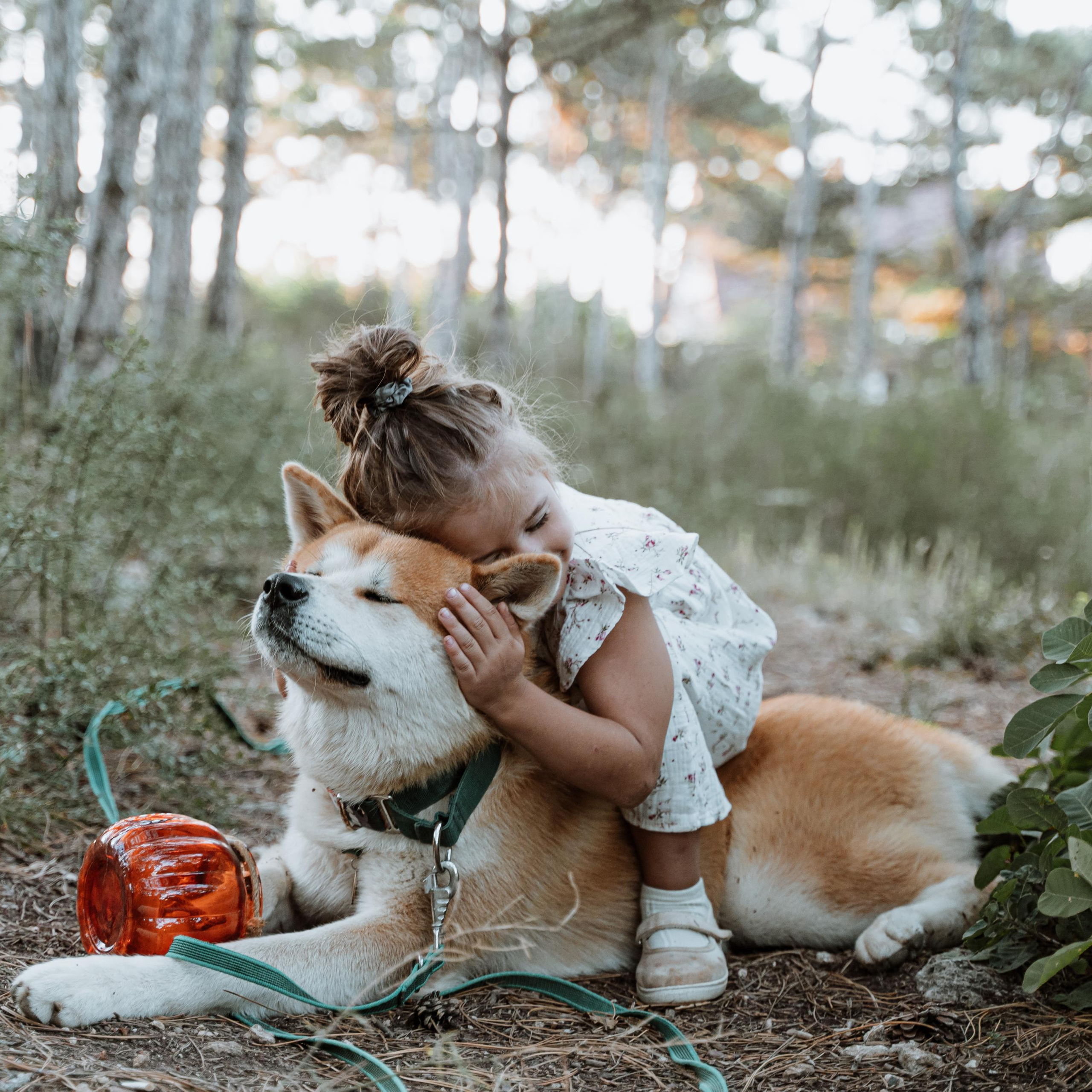 Васелиса и Дейки