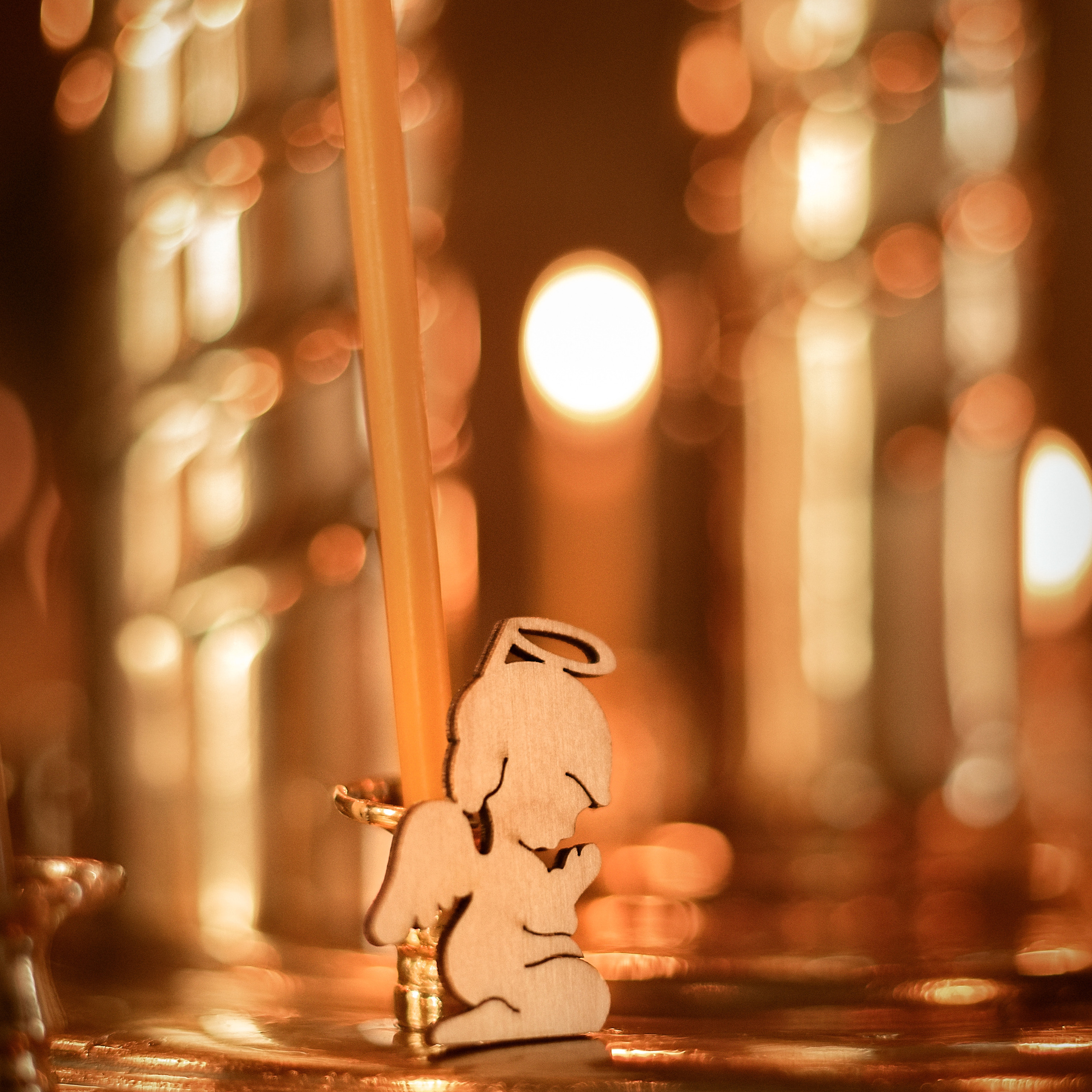 Отзывы. Семейный и детский фотограф в Москве Муравьева Виктория