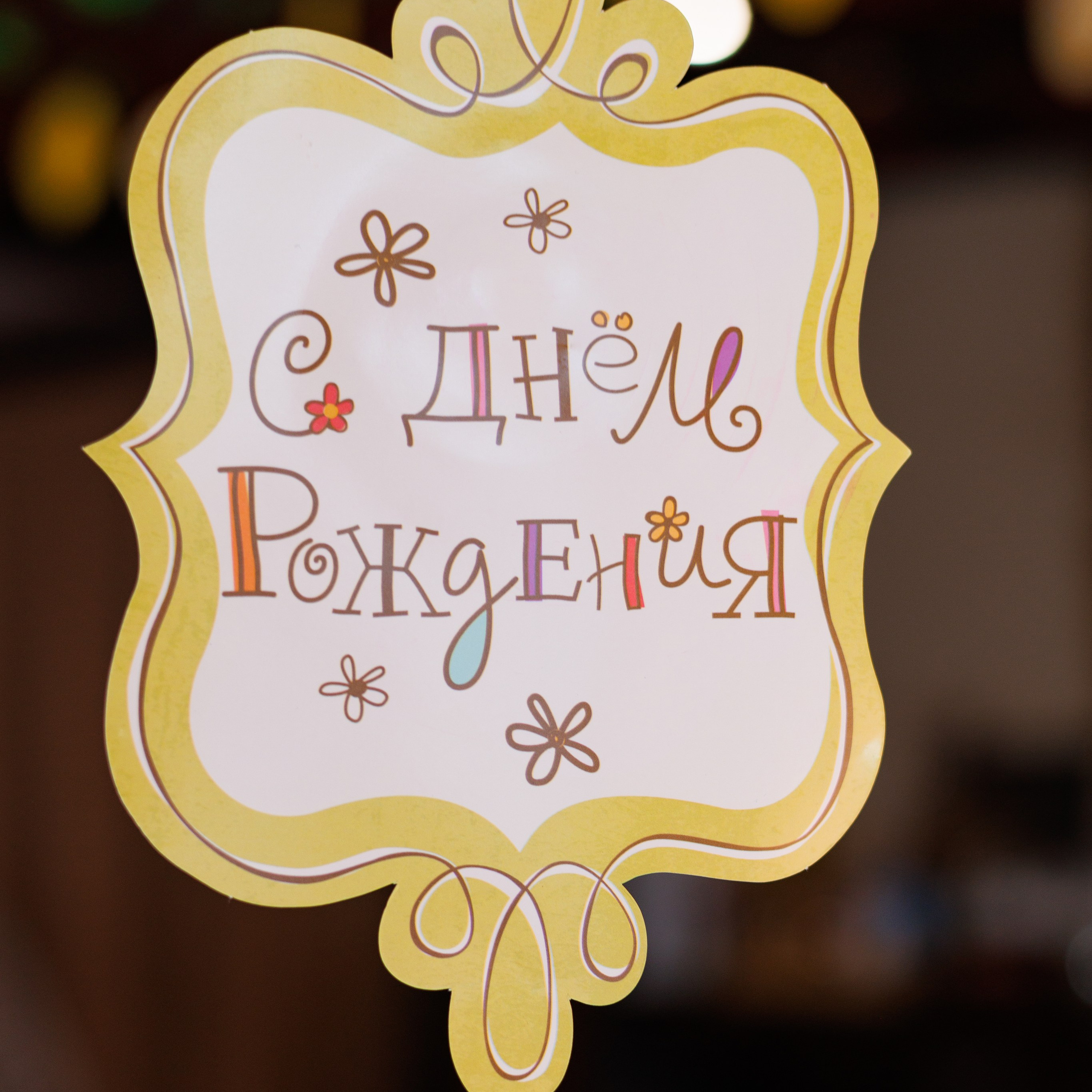 День рождение Эльзы Суздаль