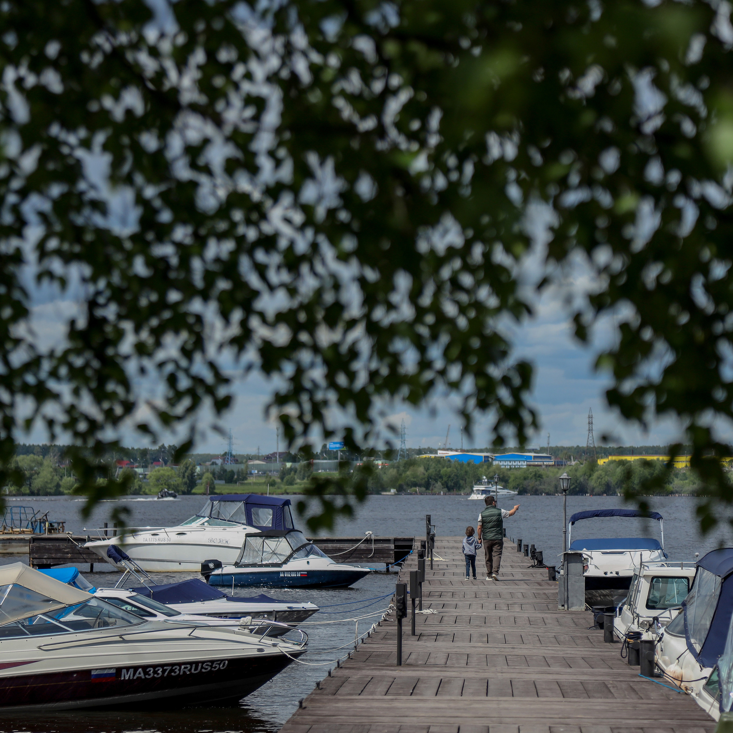 ДР Евгения — Регата