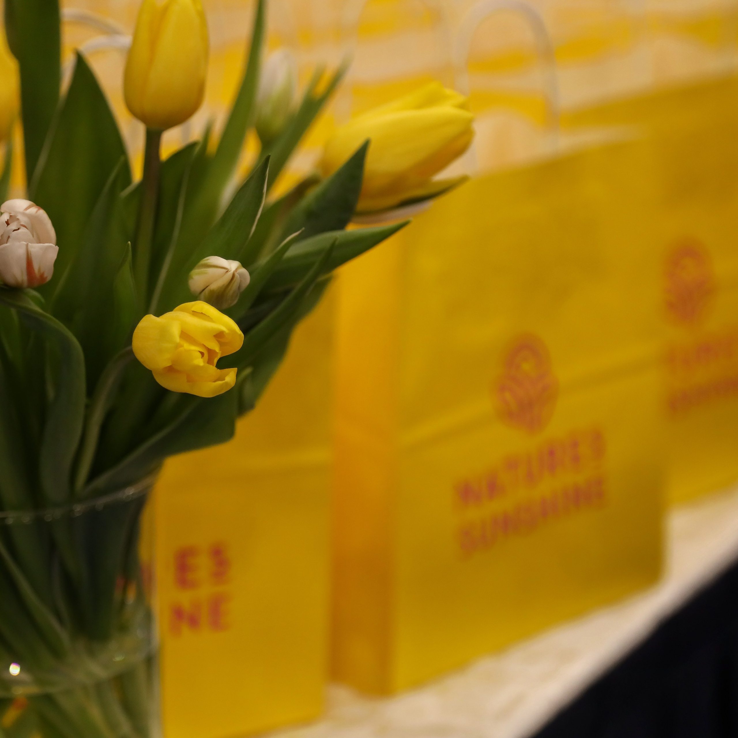 NSP Большая конференция