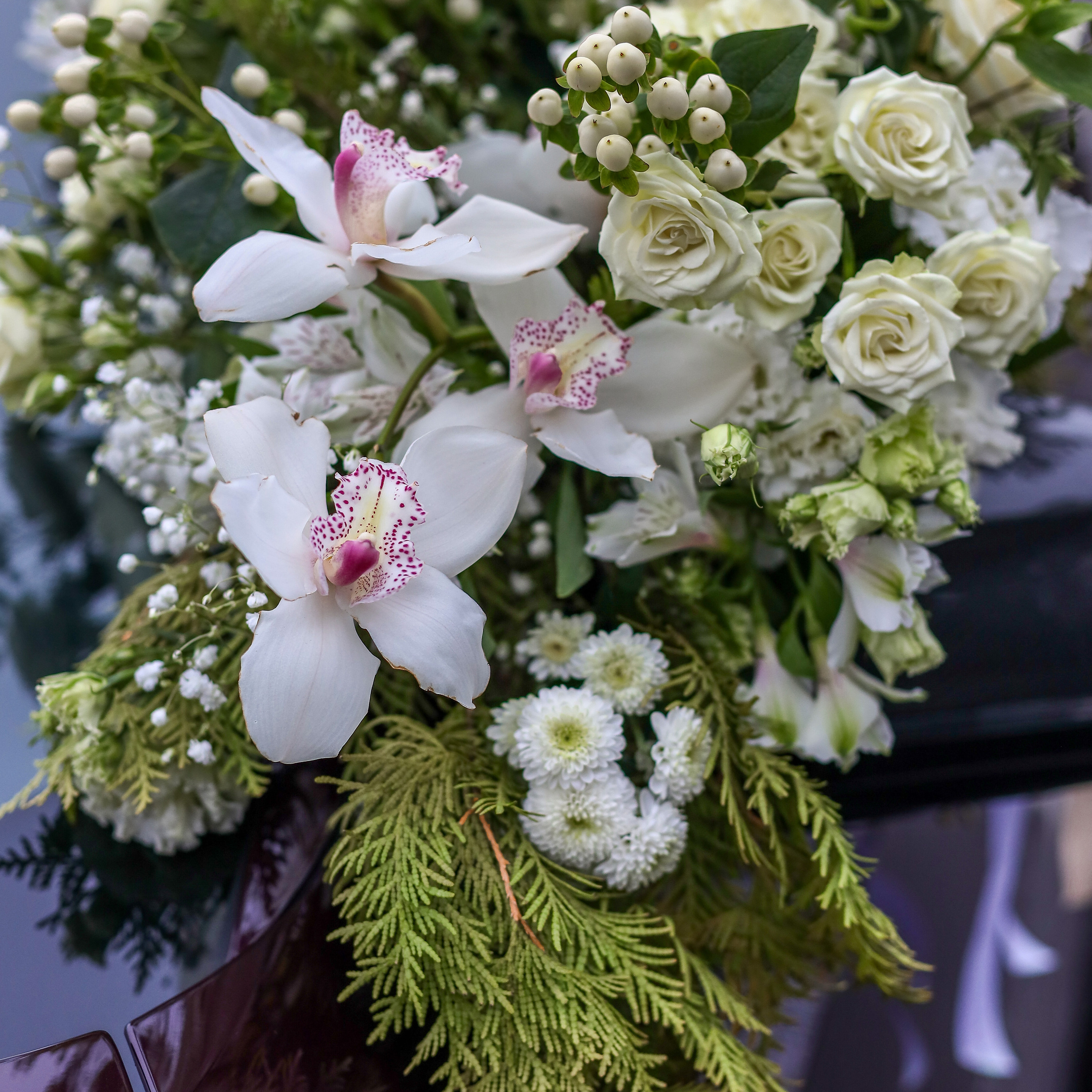 Отзывы. Фотограф Антон Чупринин