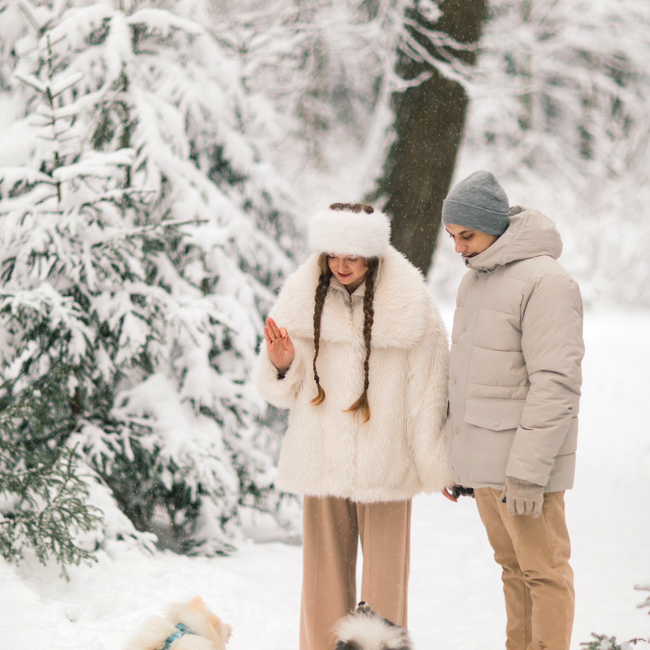 Зимняя сказка