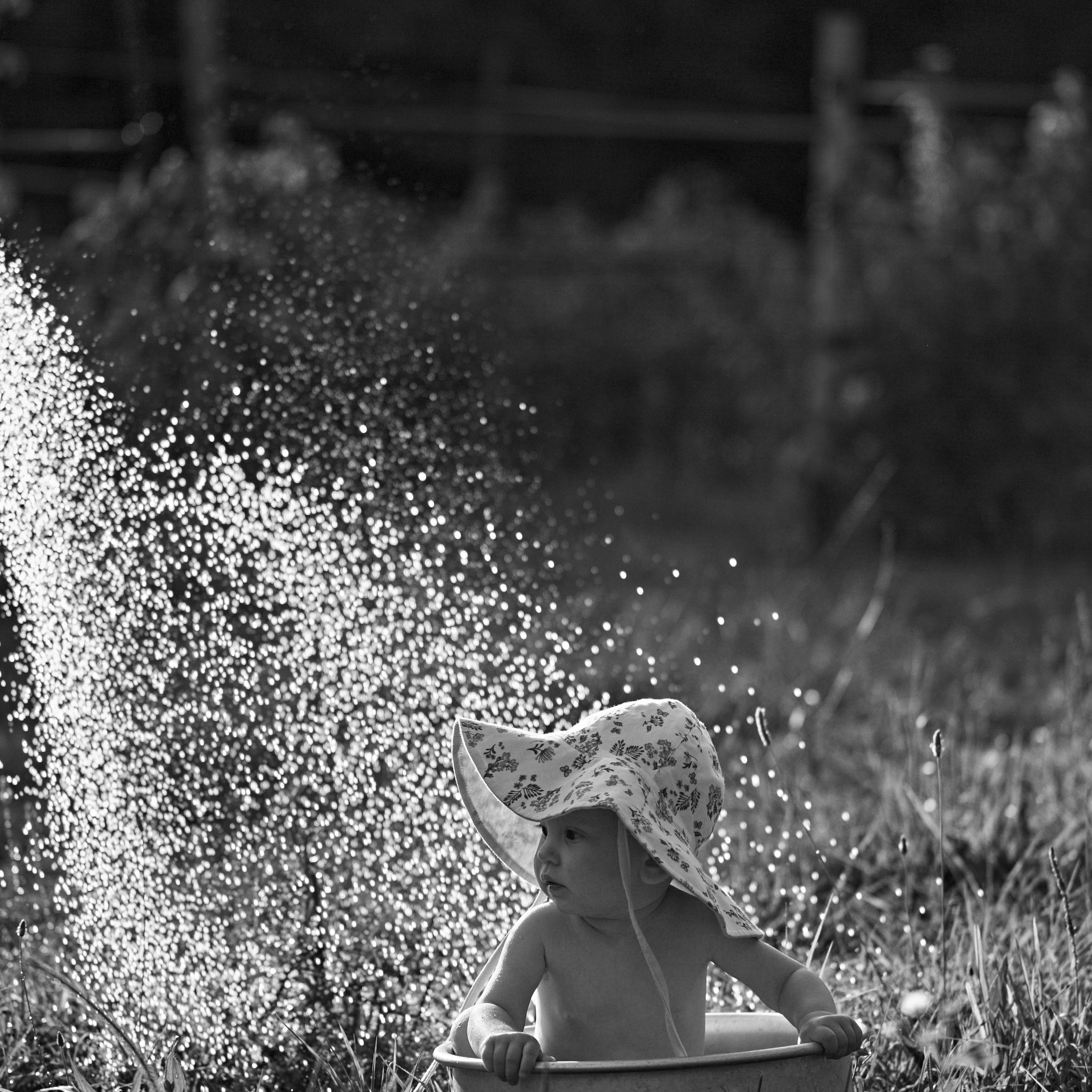 Отзывы. Свадебный фотограф в Краснодаре Андрей Тюменев