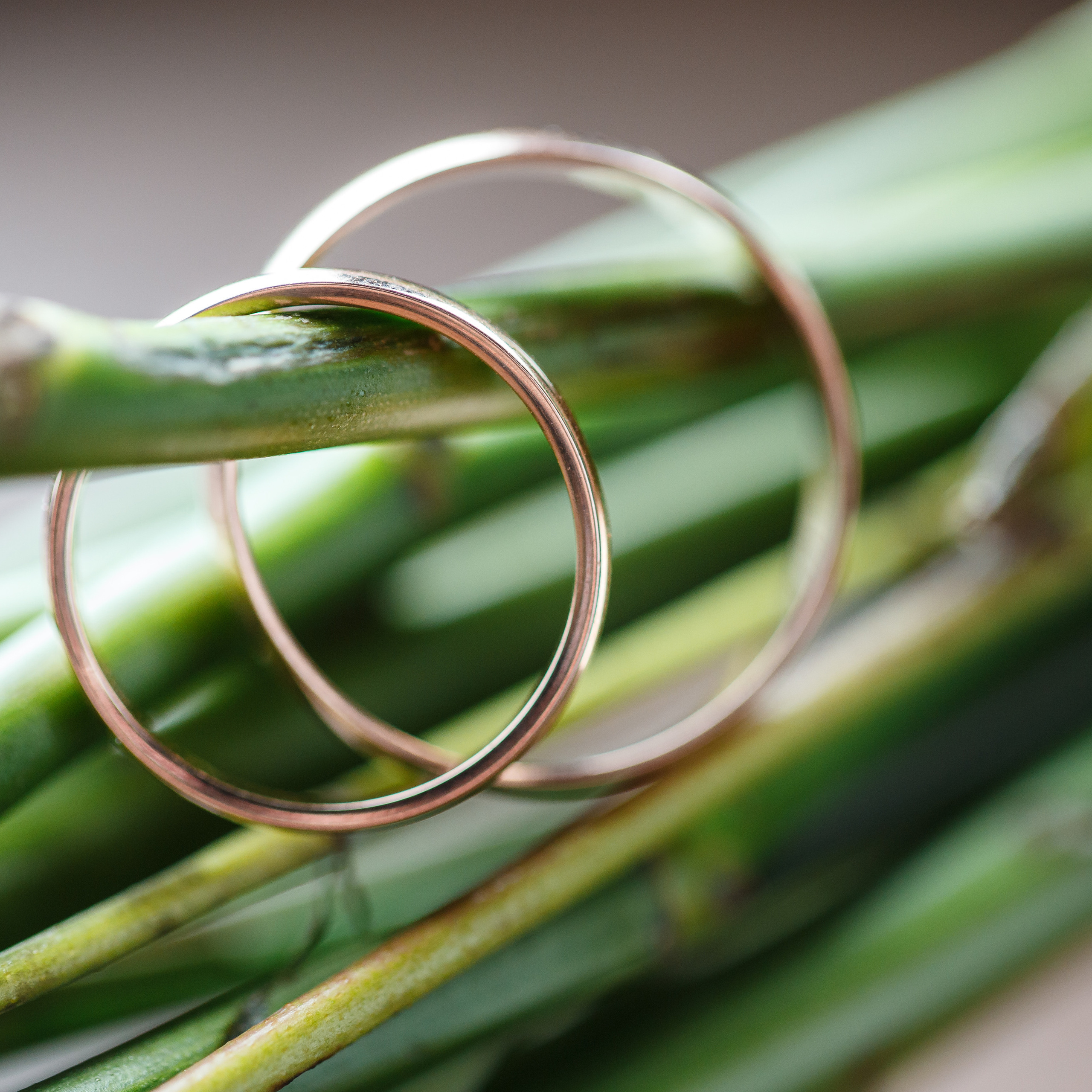 Отзывы. Свадебный фотограф в Краснодаре Андрей Тюменев