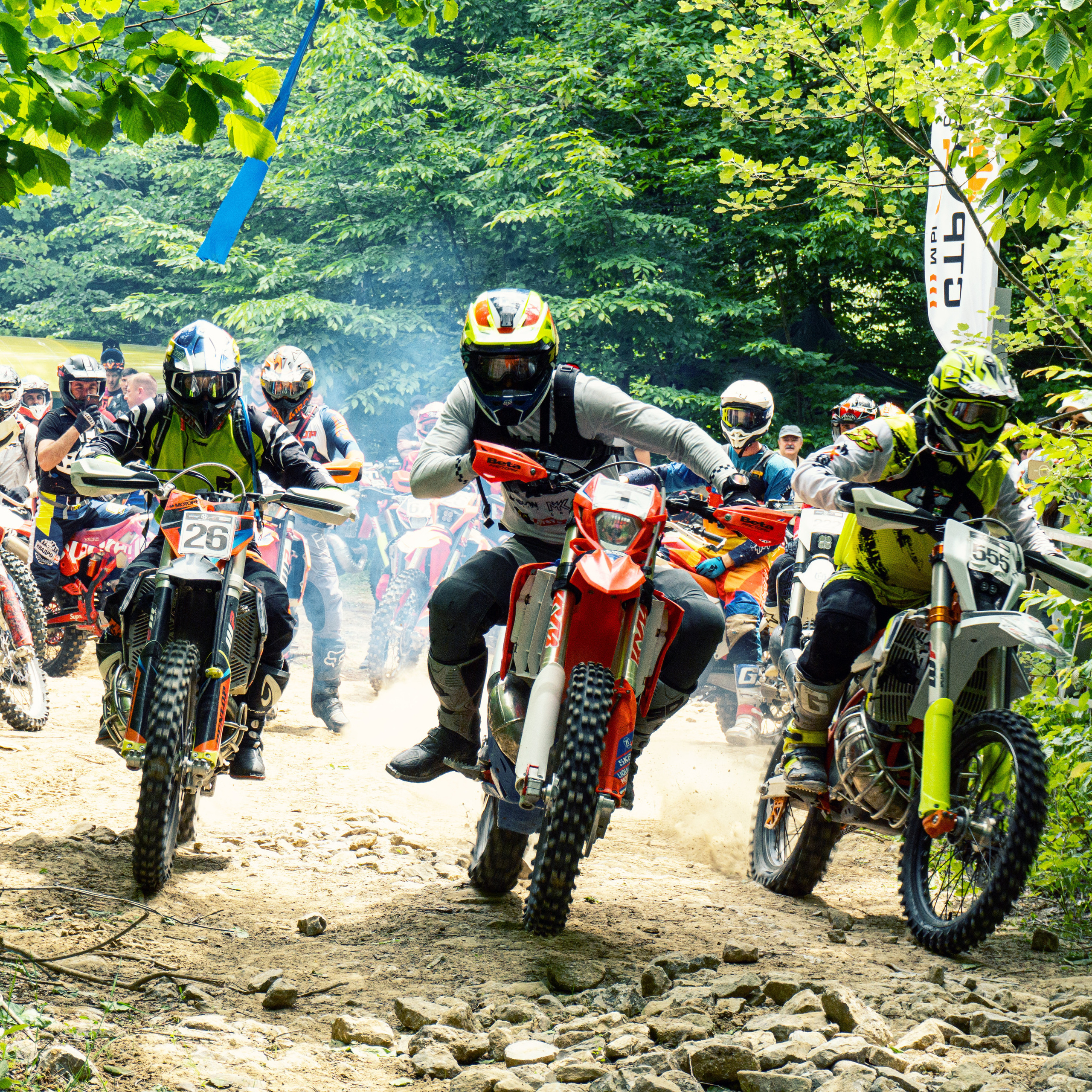 Отзывы. Ручка Алена — ботанический художник, дизайнер, фотограф