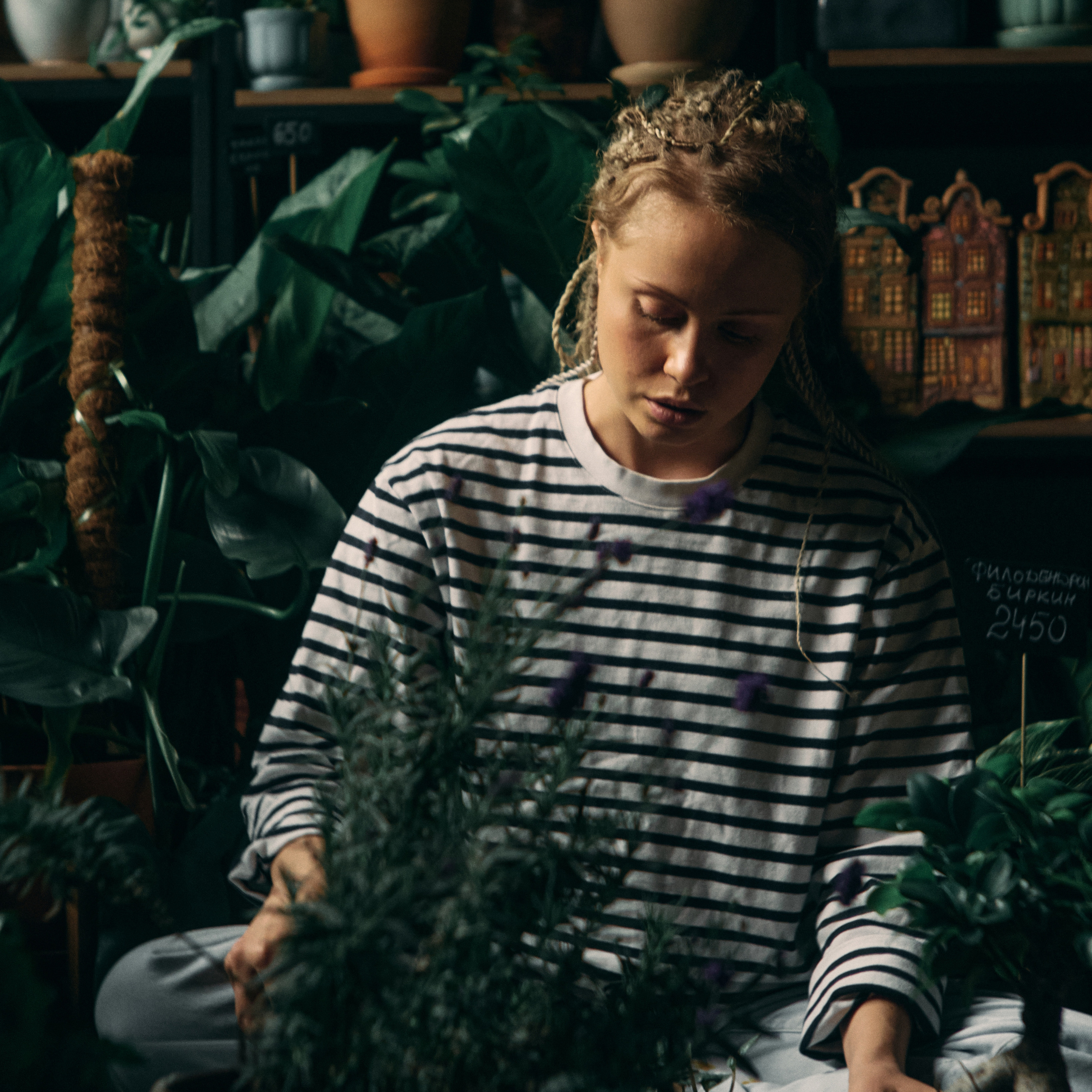 Plants NSK — магазин комнатных растений