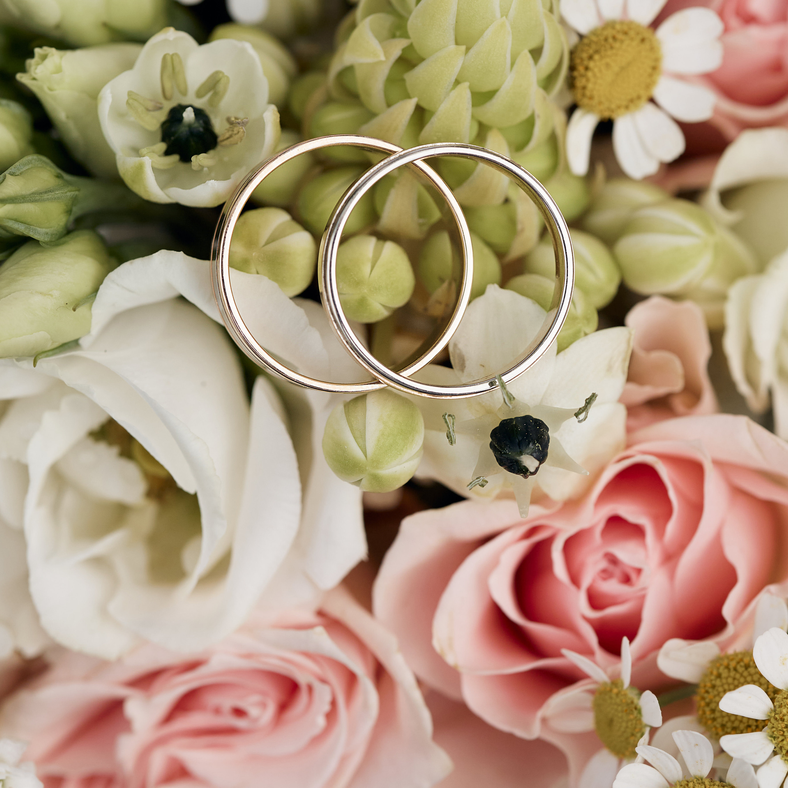 Отзывы. Марина Соколова. Контентный и семейный фотограф г. Красноярск