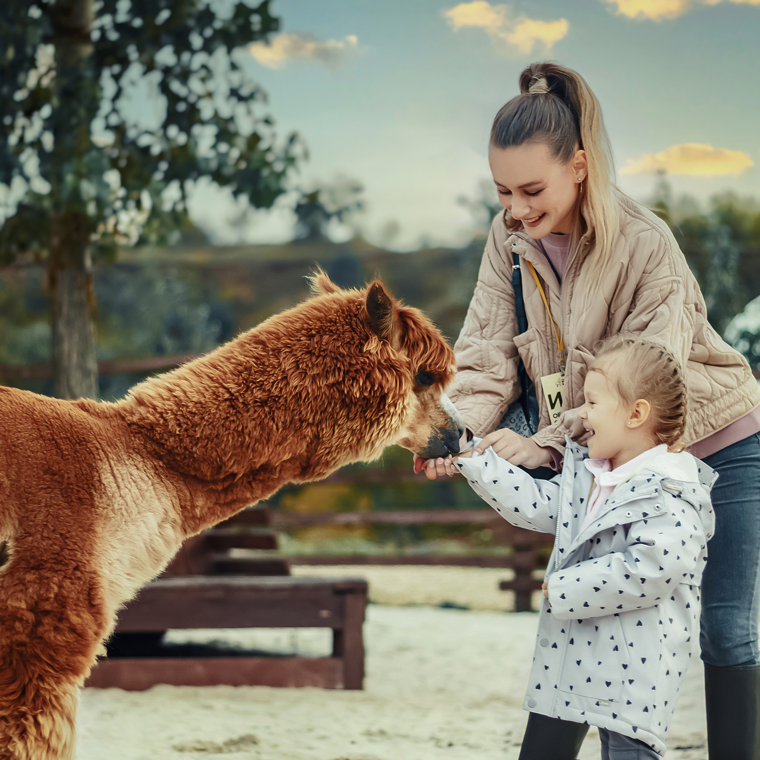 Отзывы о проделанной работе. Свадебный и репортажный фотограф в Воронеже Роман Янко