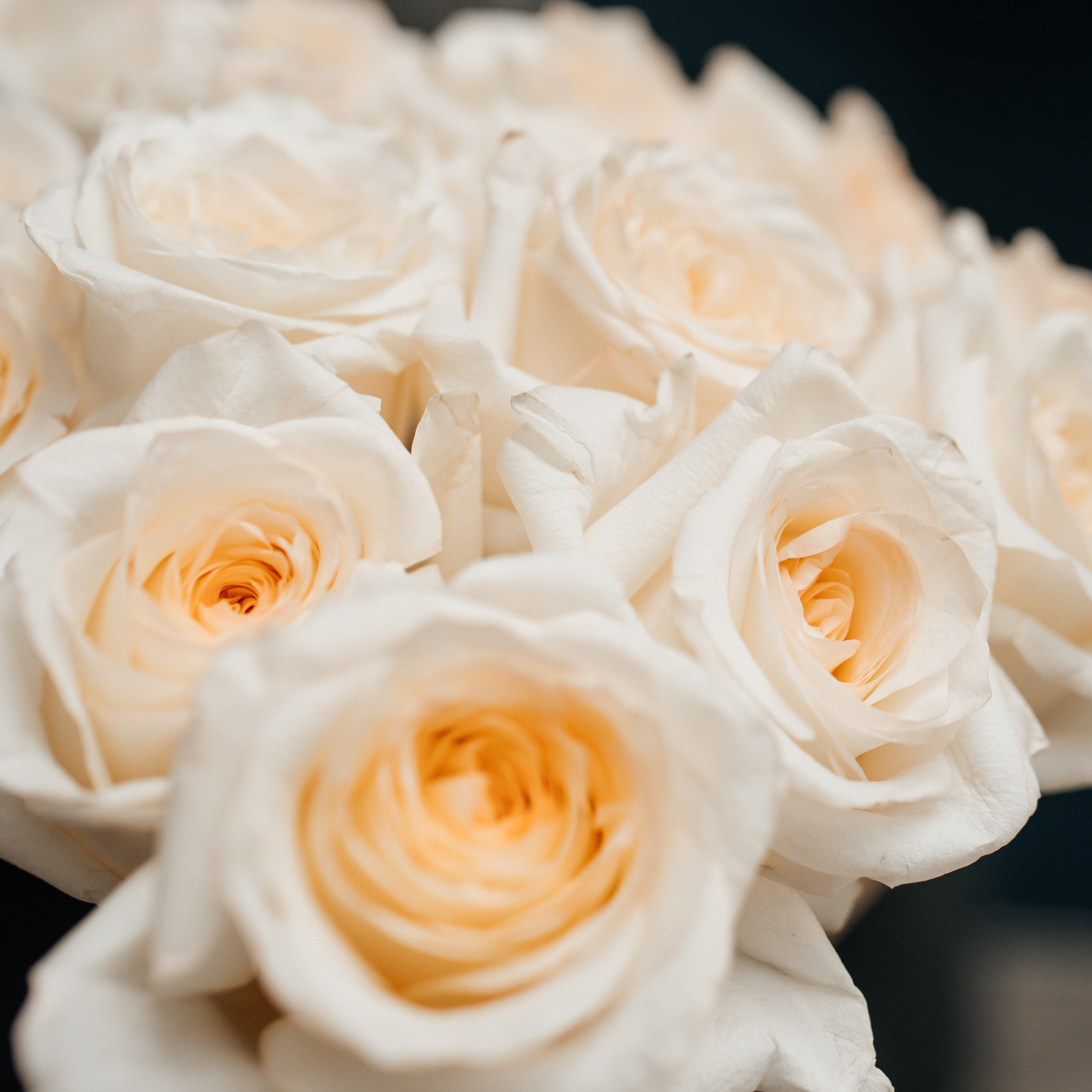 Отзывы. Фотограф Москва и Московская Область Карина Юсупова