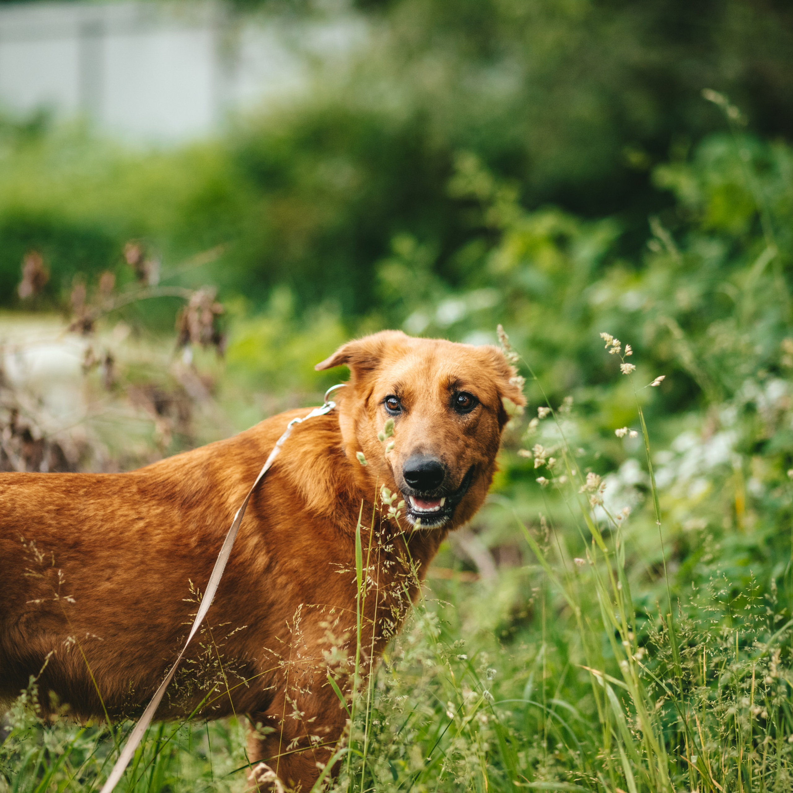 Отзывы. Фотограф Москва и Московская Область Карина Юсупова